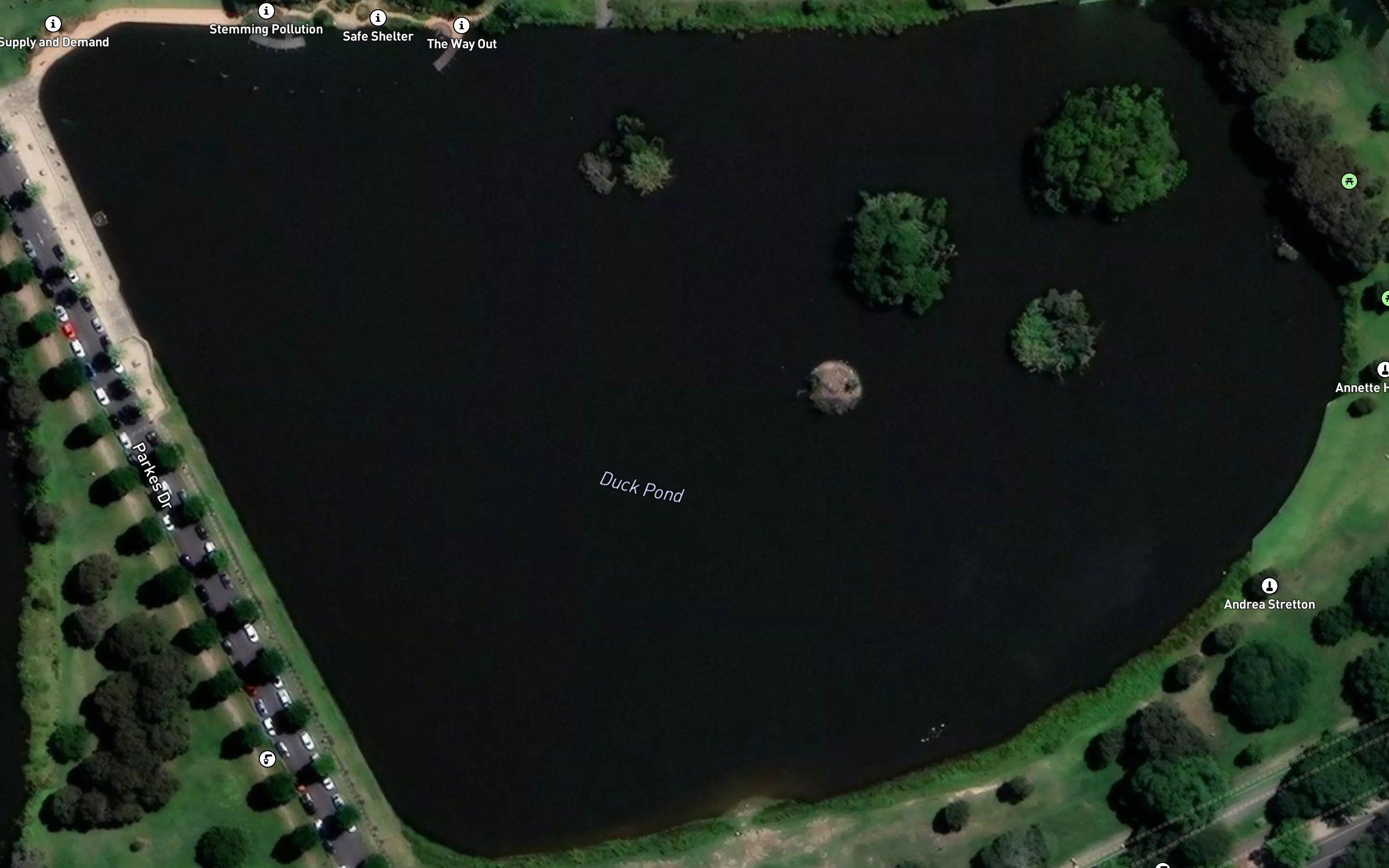 The Duck Pond