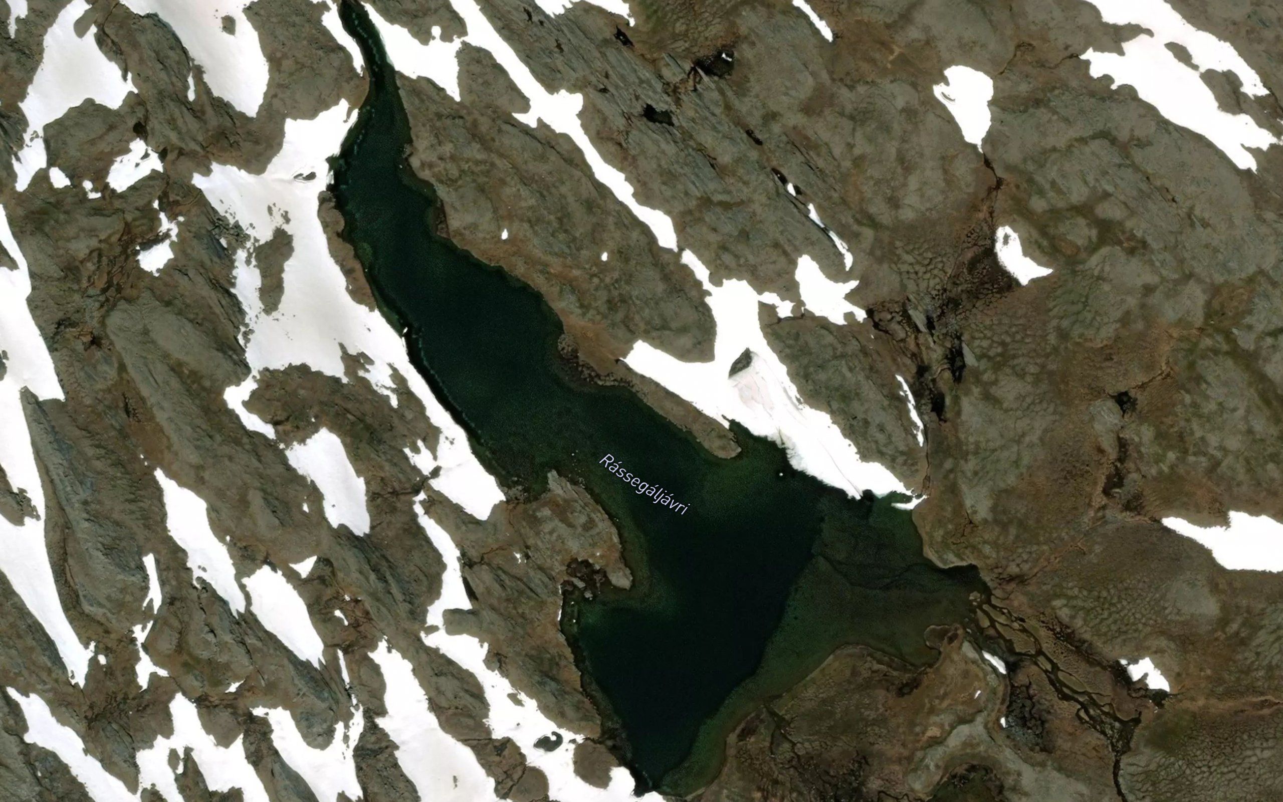 Rassegaljavri