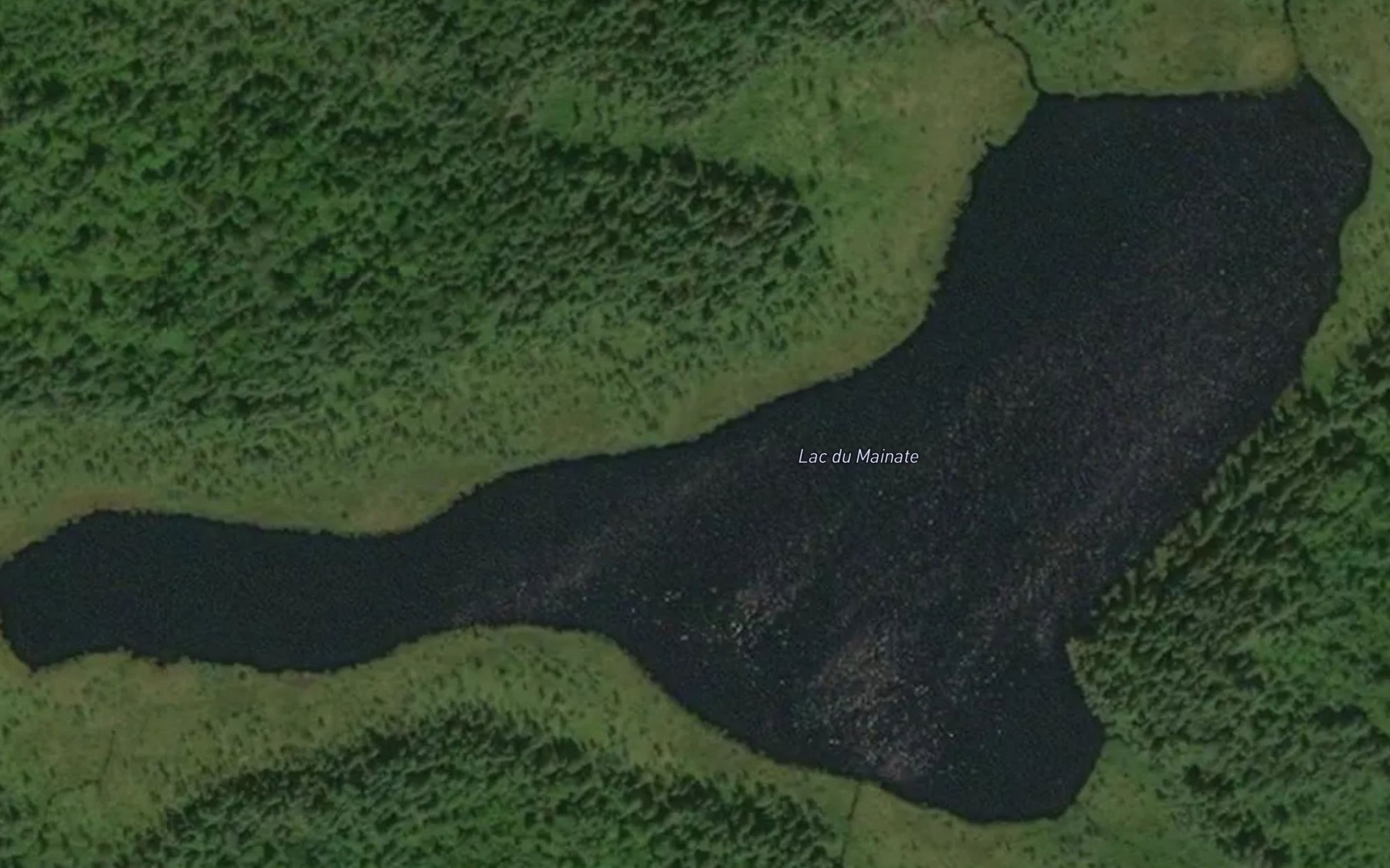 Satellite map of the Lac du Mainate