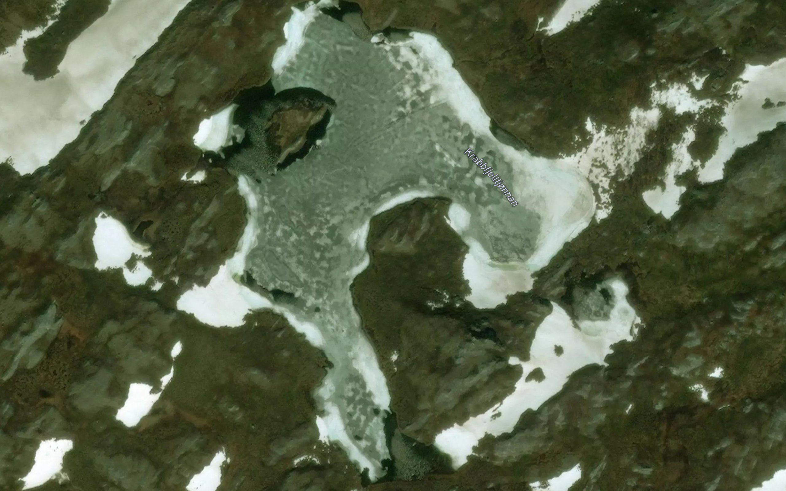 Krabbfjelltjornan