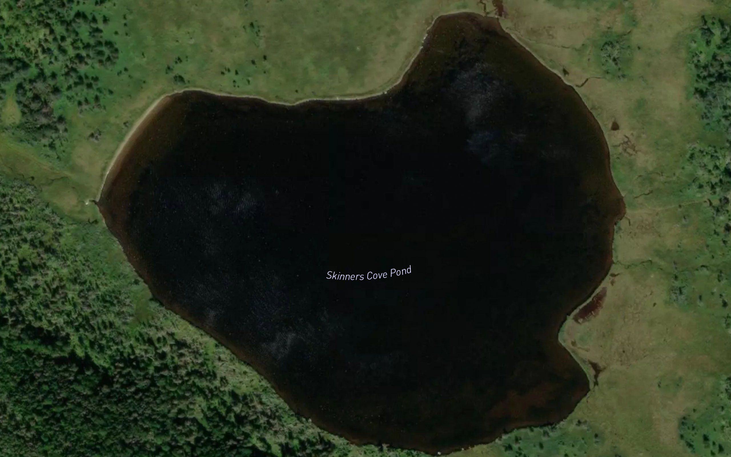 Skinners Cove Pond