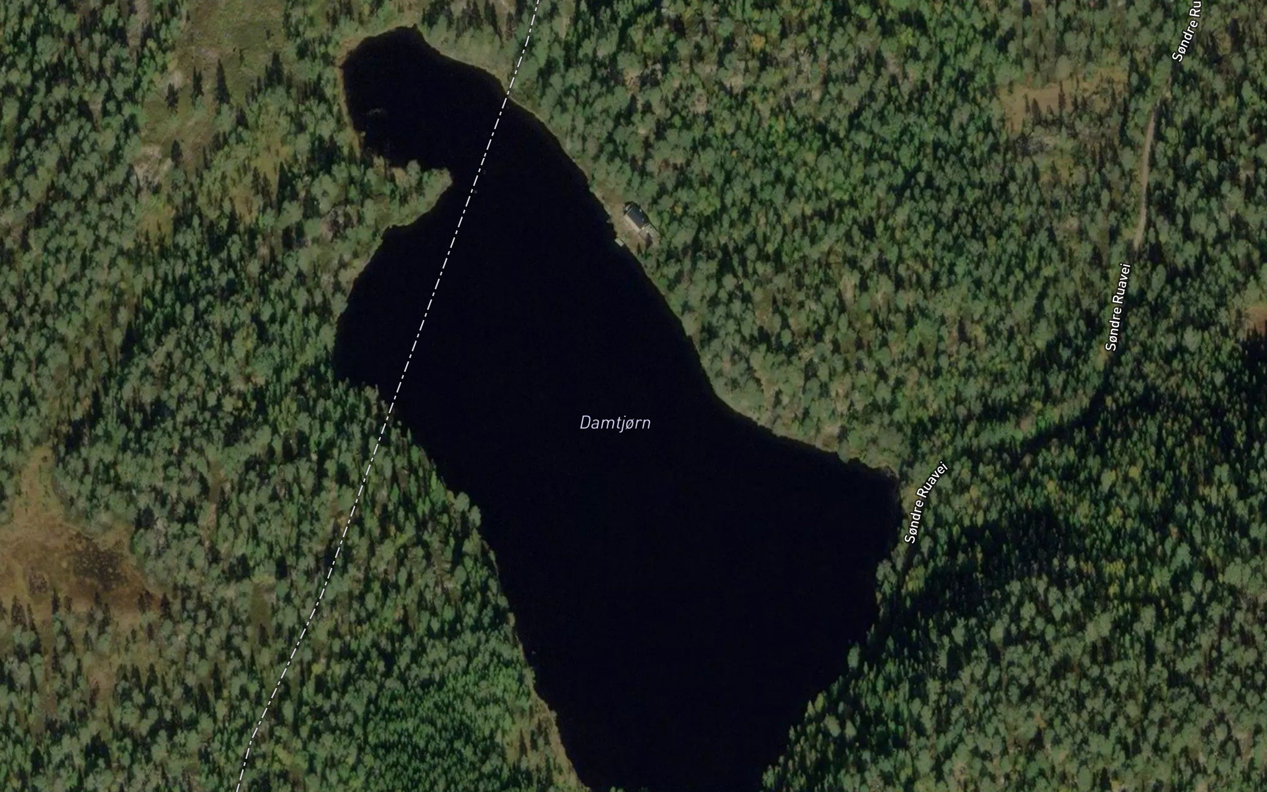 Damtjorn