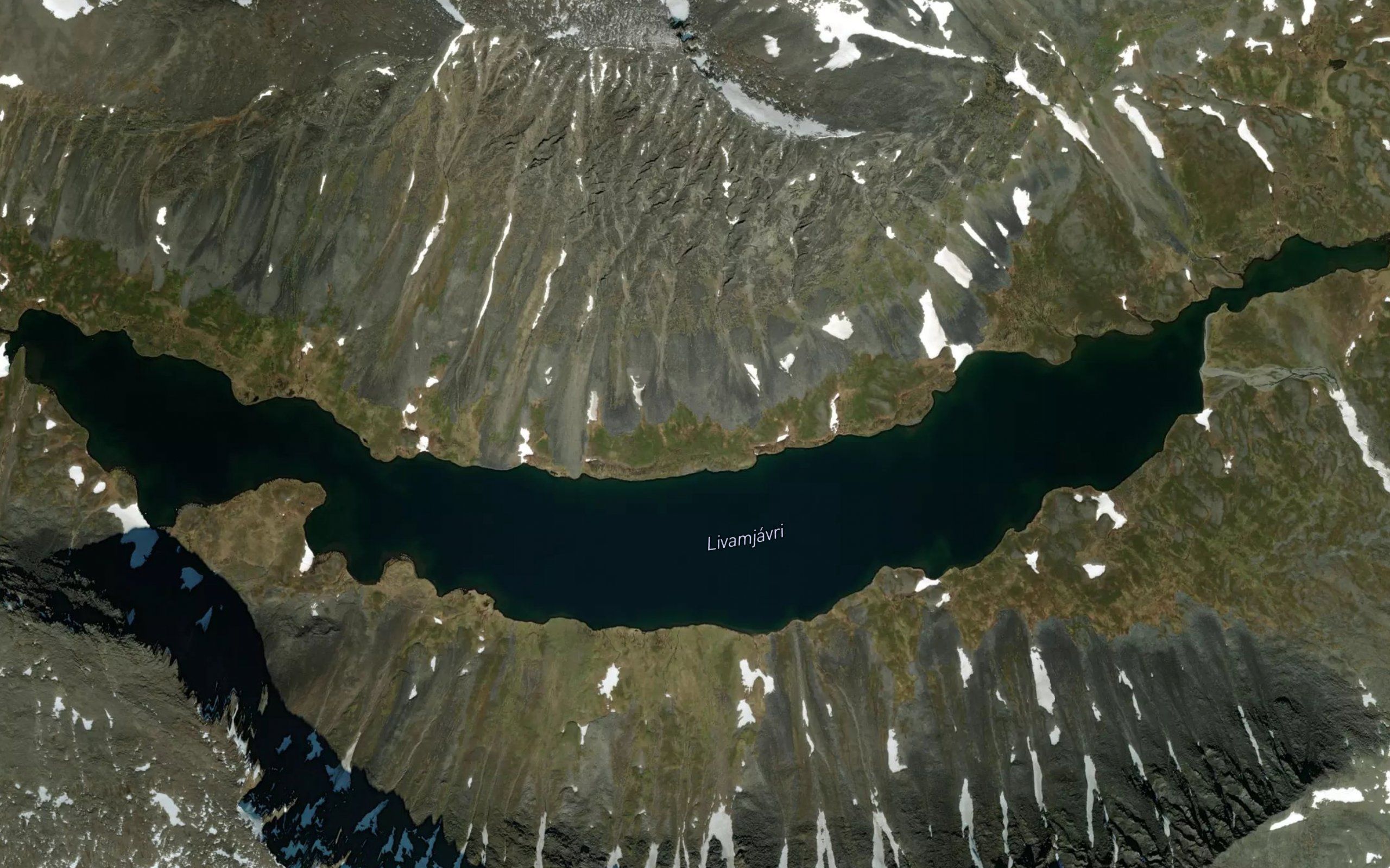 Livamjaure