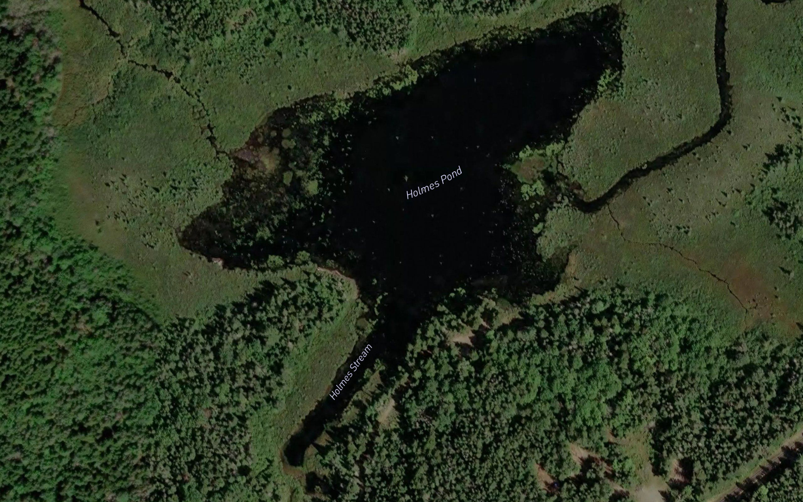 Holmes Pond