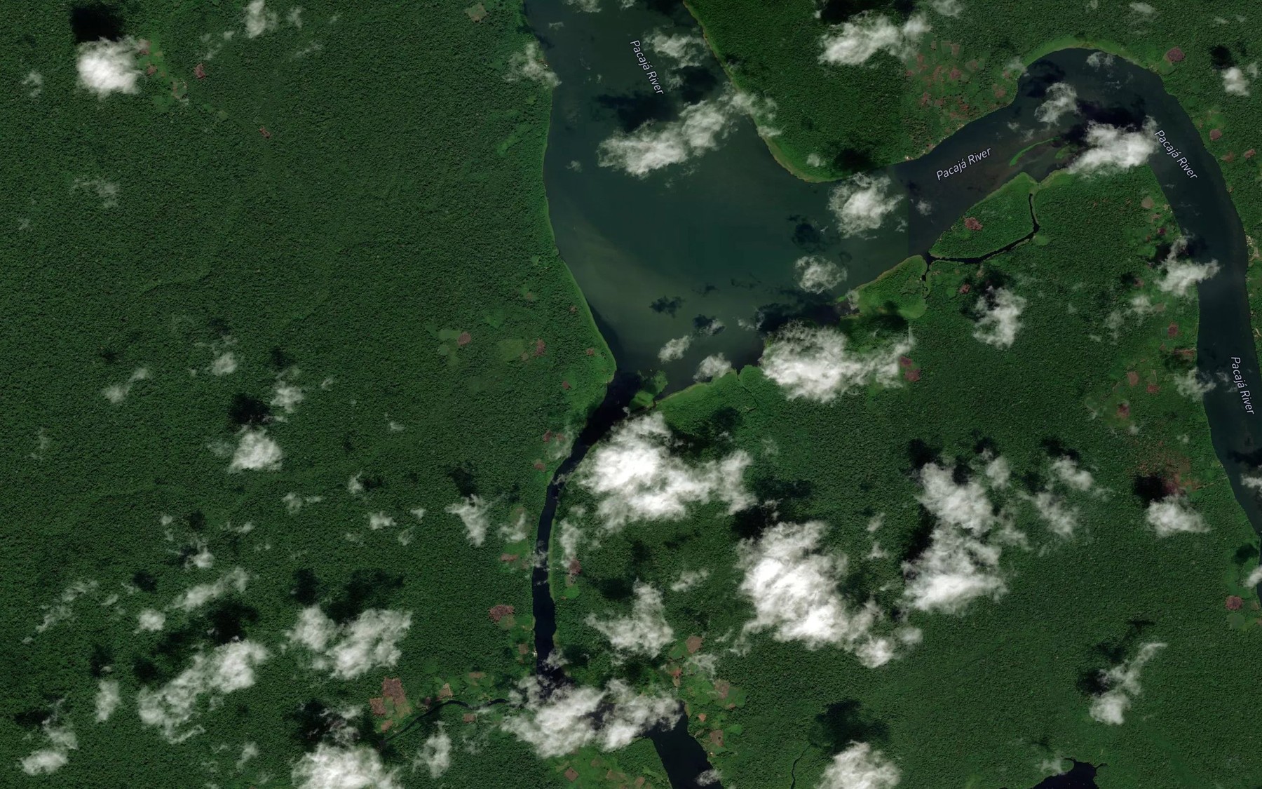 Satellite map of the Rio Mandaquari