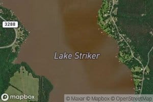 Lake Striker