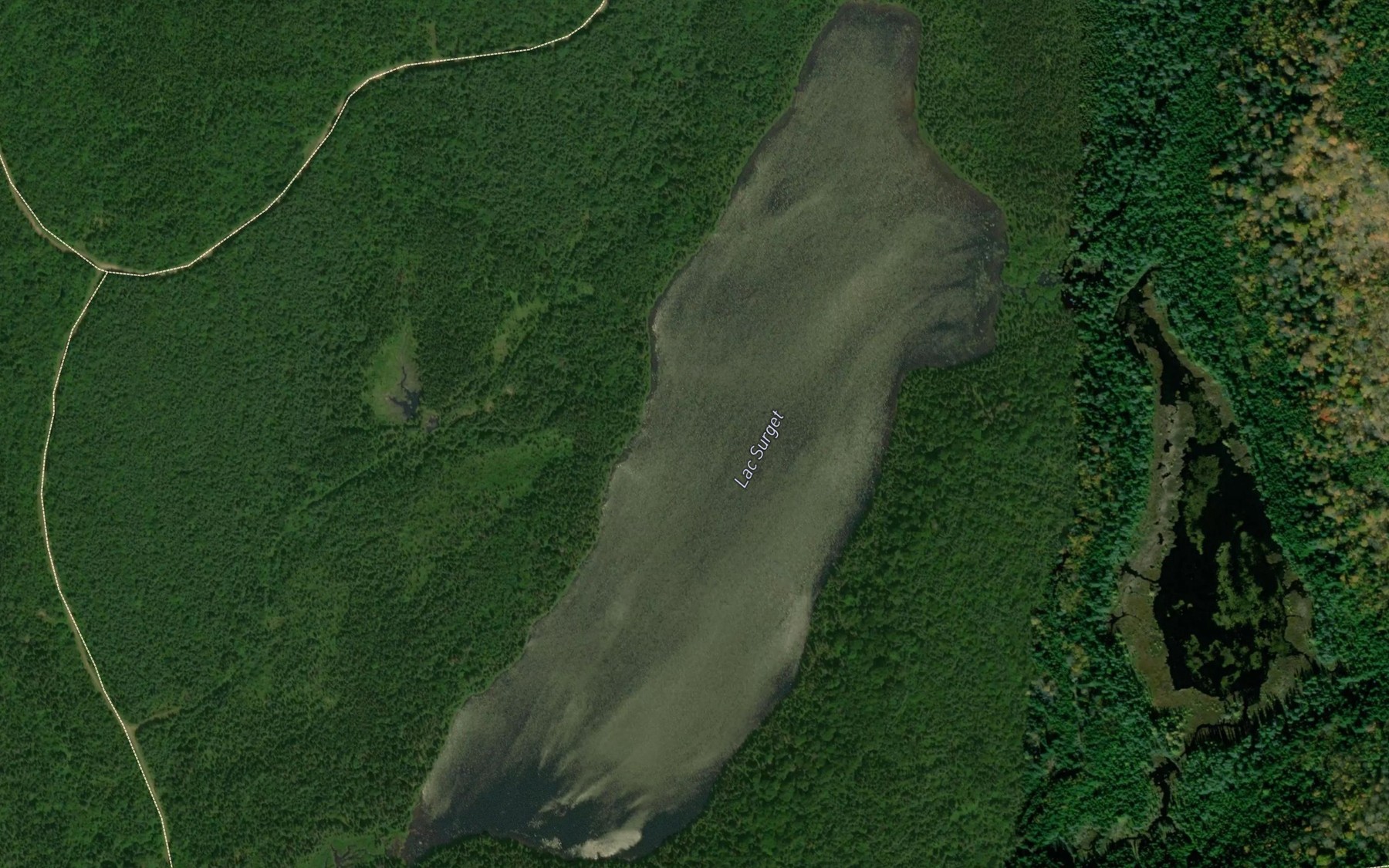 Satellite map of the Lac Surget