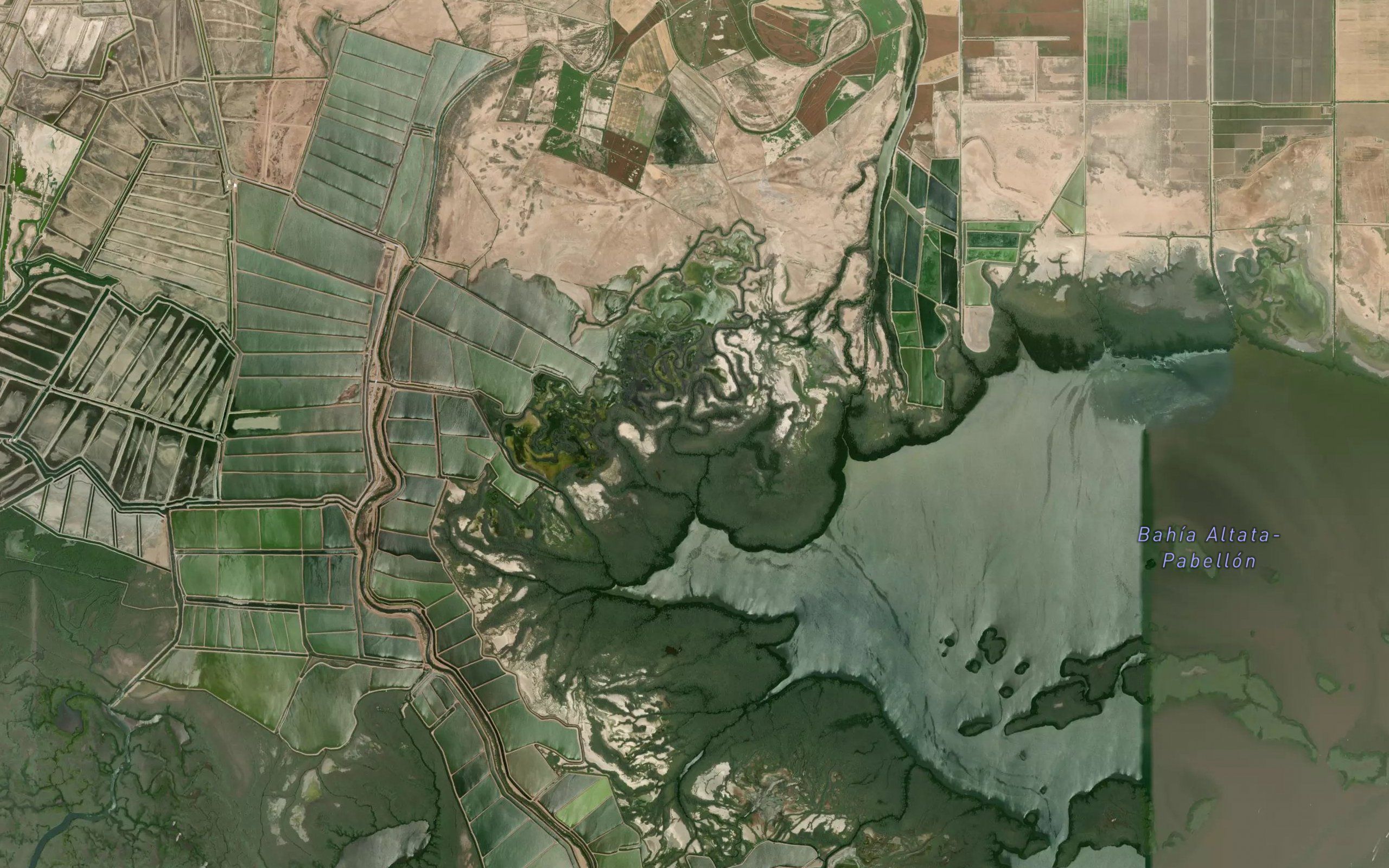 Estero Carnevaca