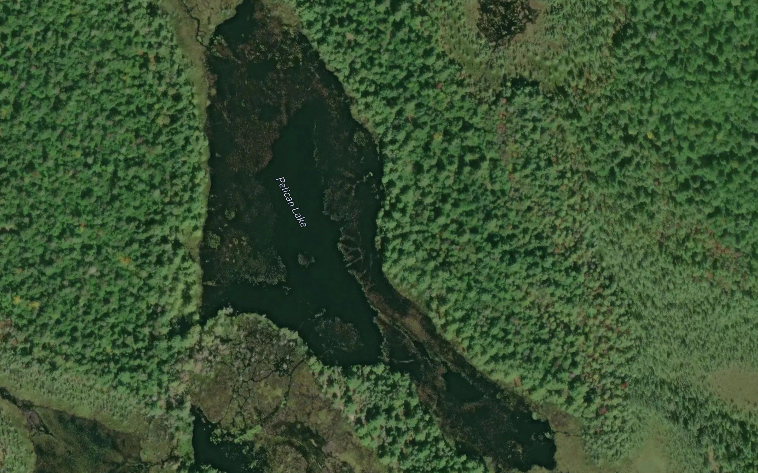 Pelican Lake