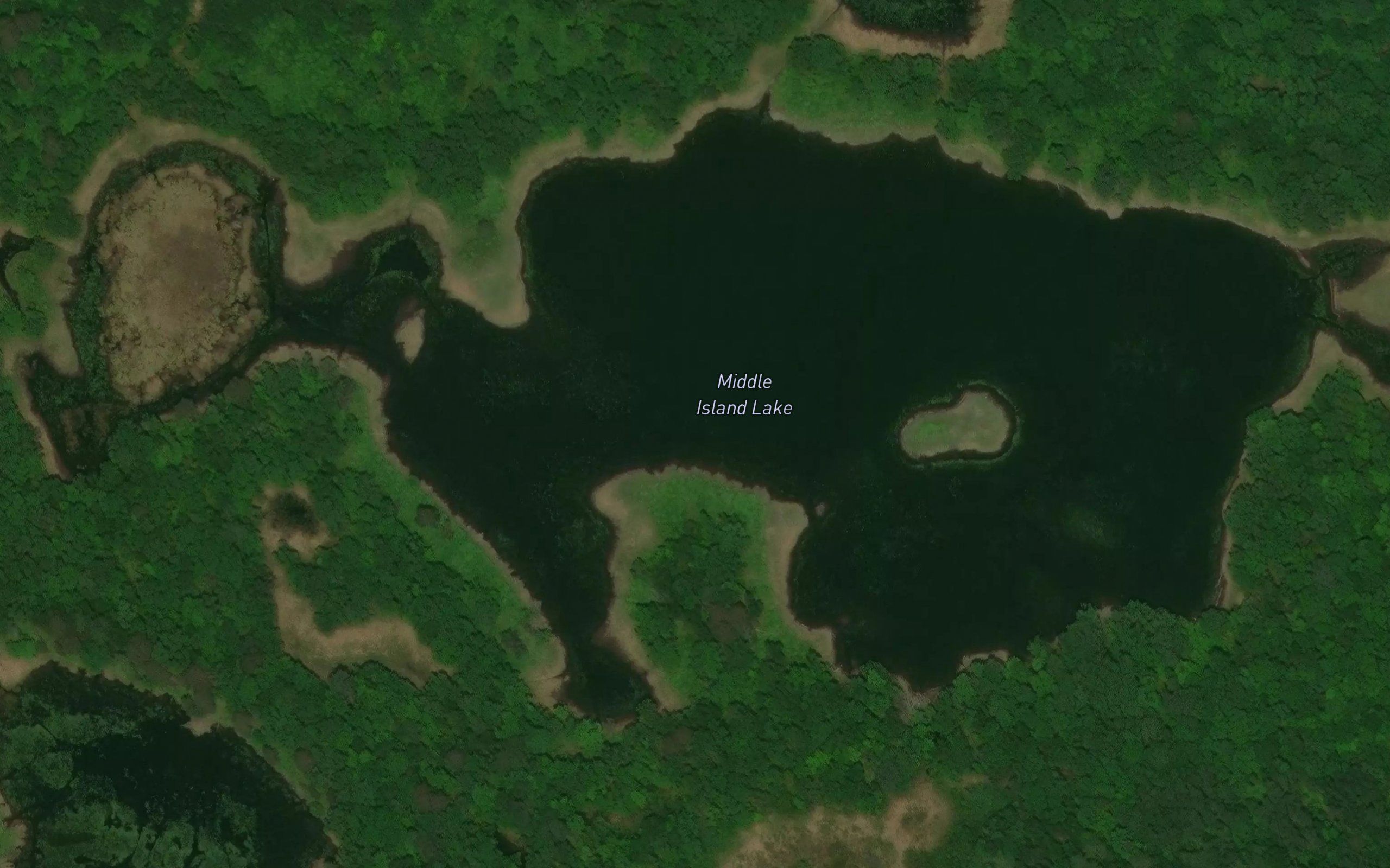 Middle Island Lake