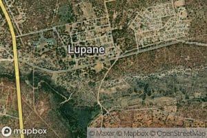 Lupane