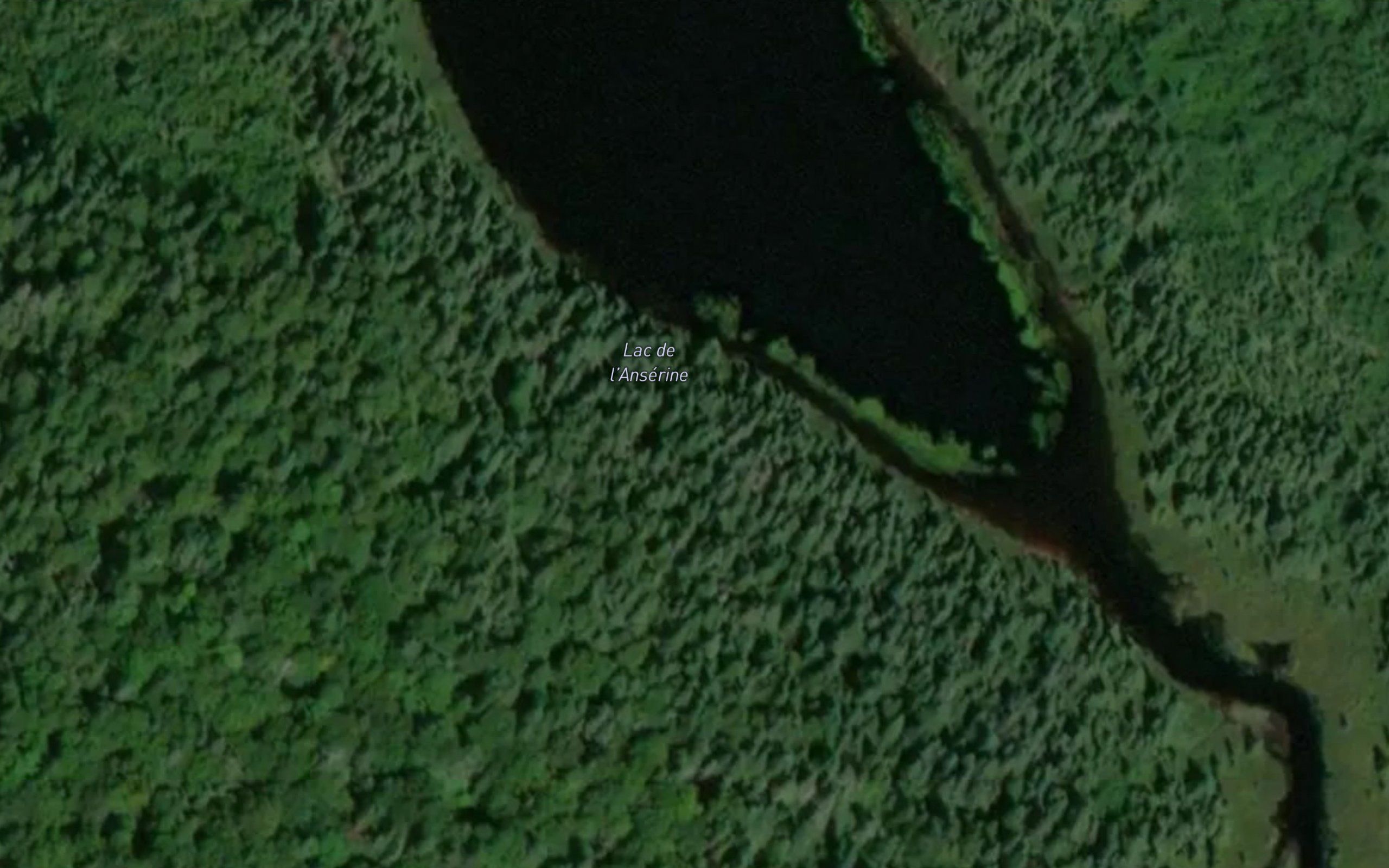 Lac de l'Anserine