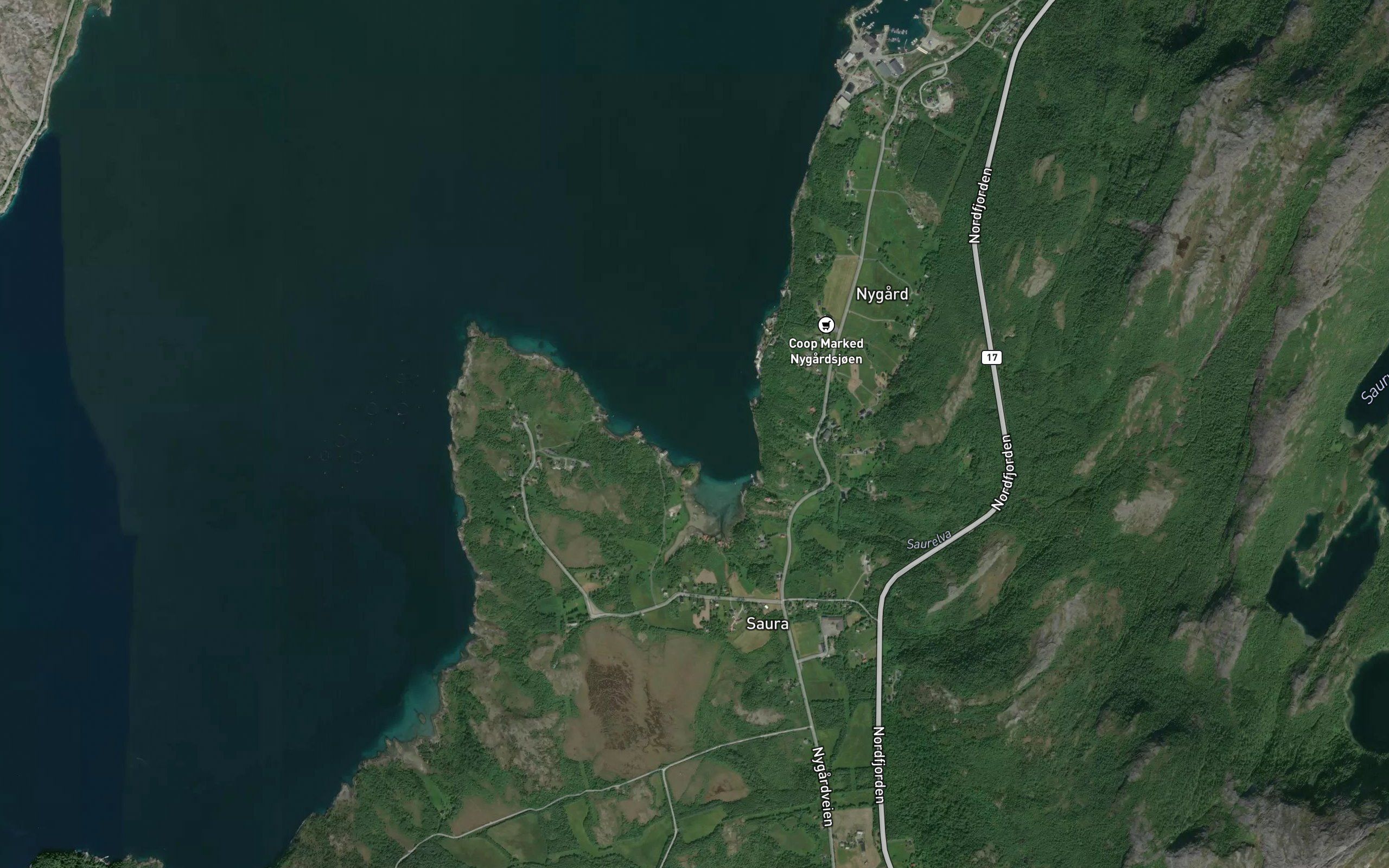 Saurvika