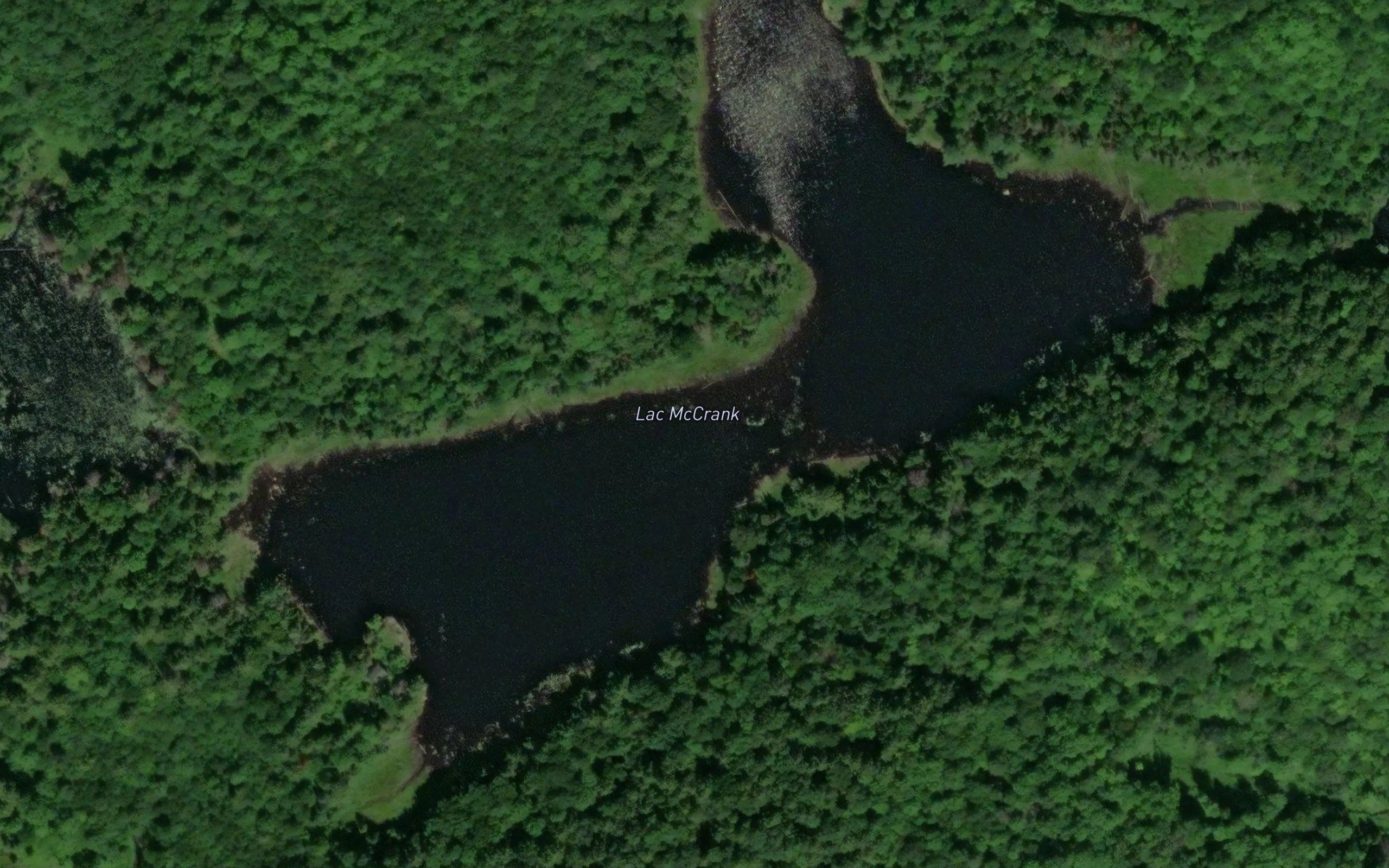 Lac McCrank