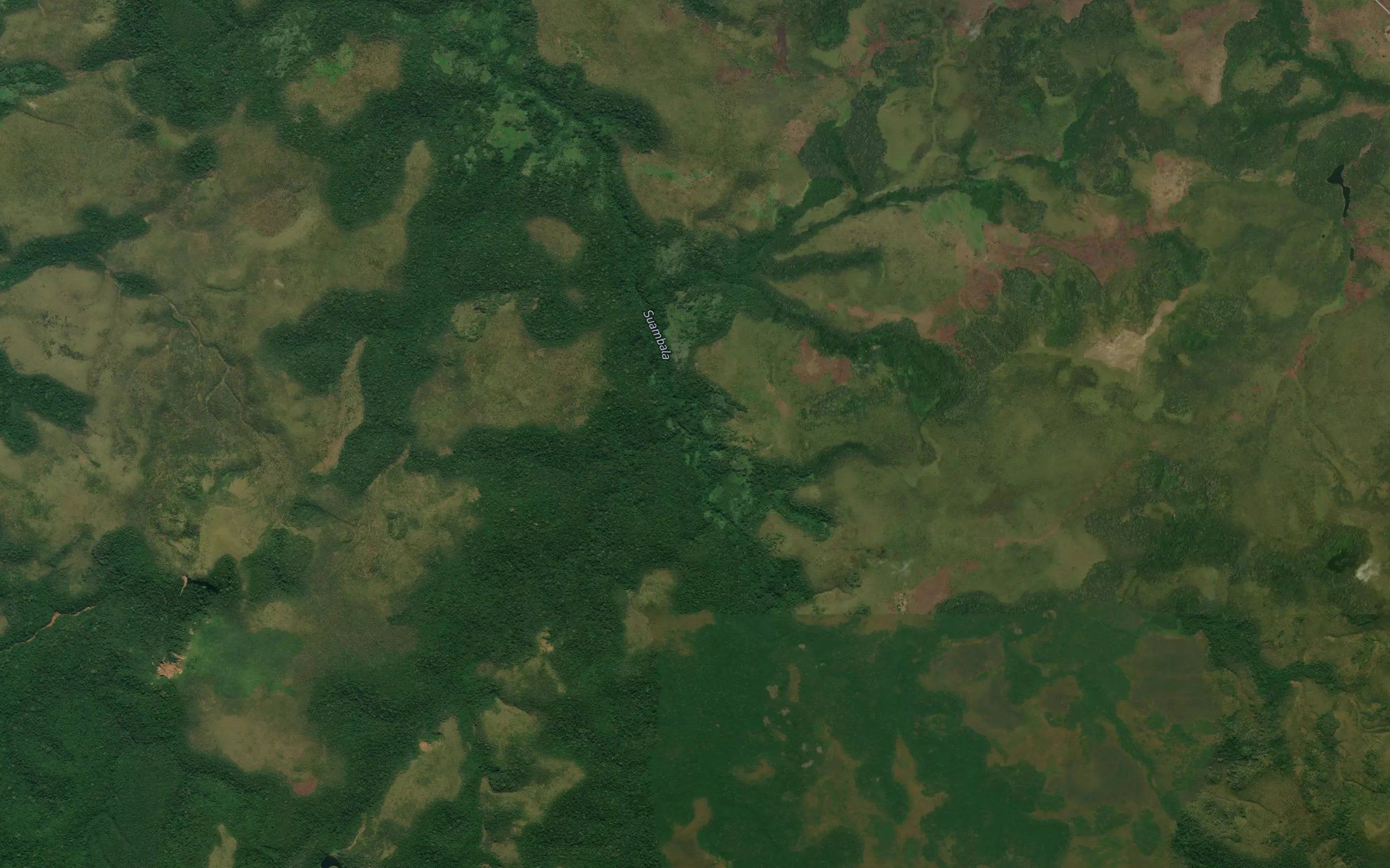 Mambonvo