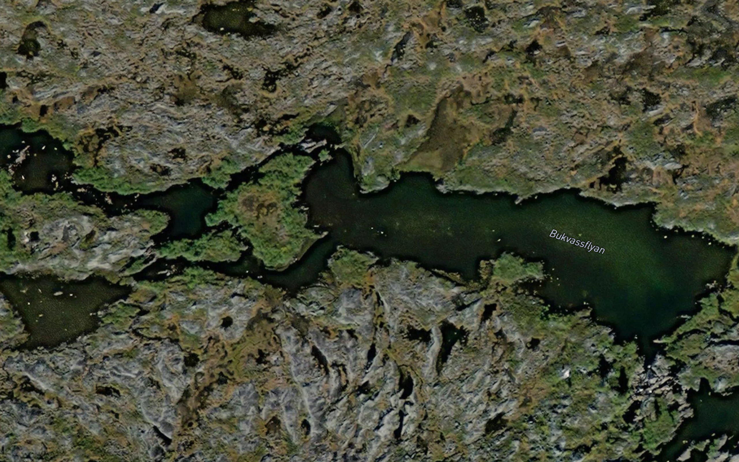 Bugvassflya
