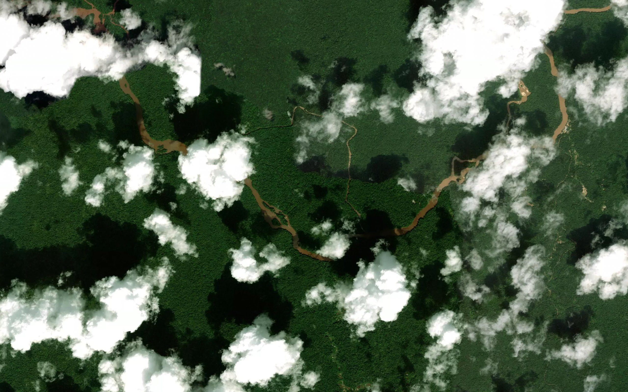 Alligator River