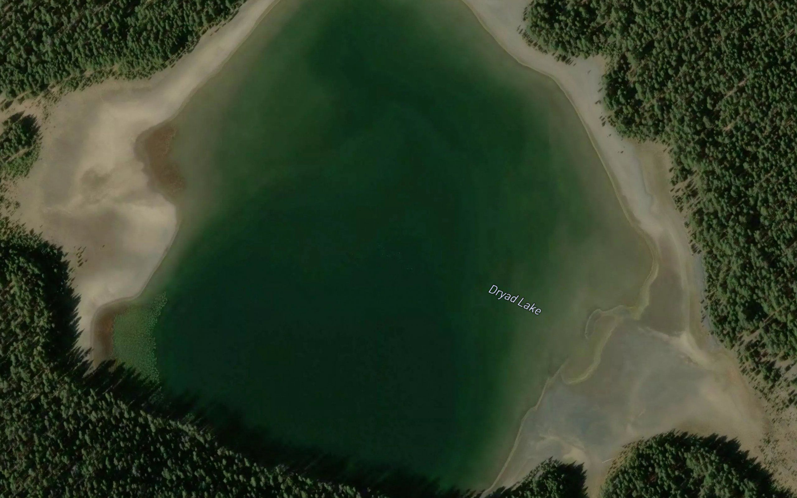 Dryad Lake