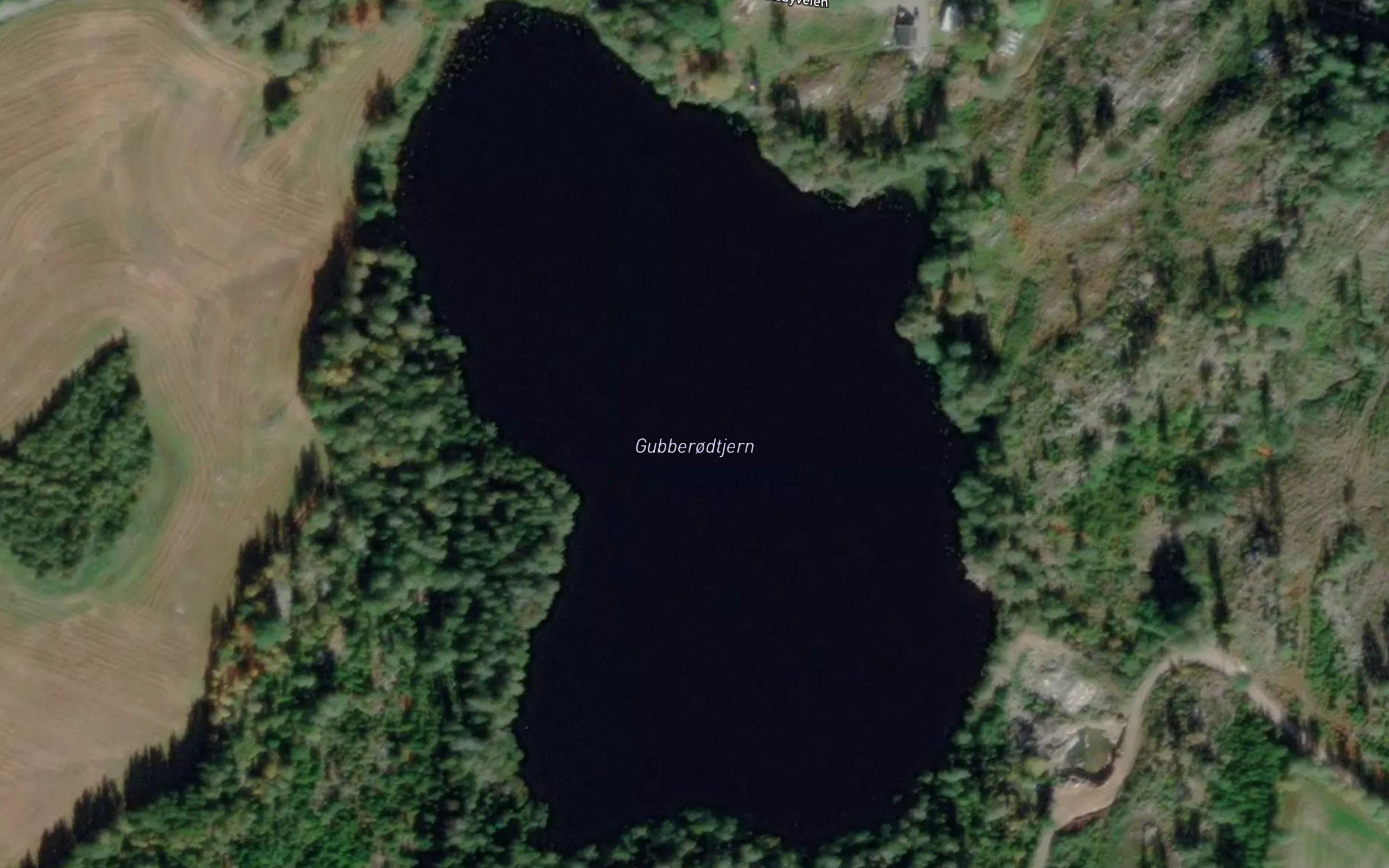 Gubberudtjernet