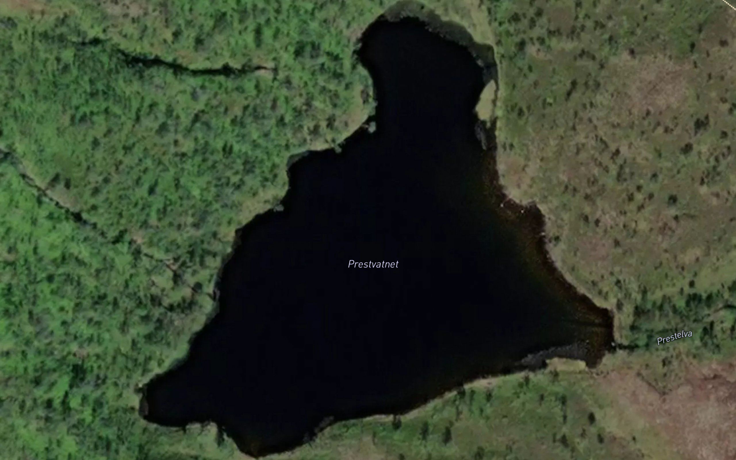 Prestvatnet