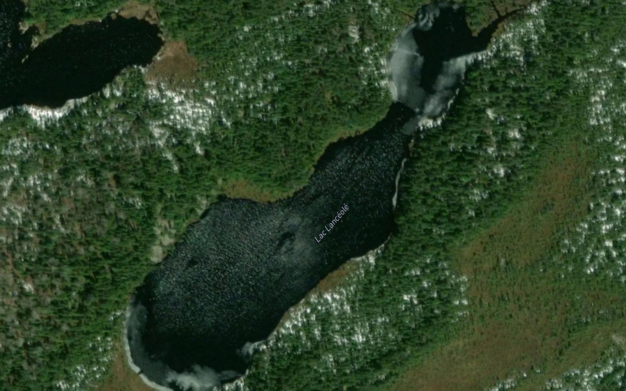 Lac Lanceole