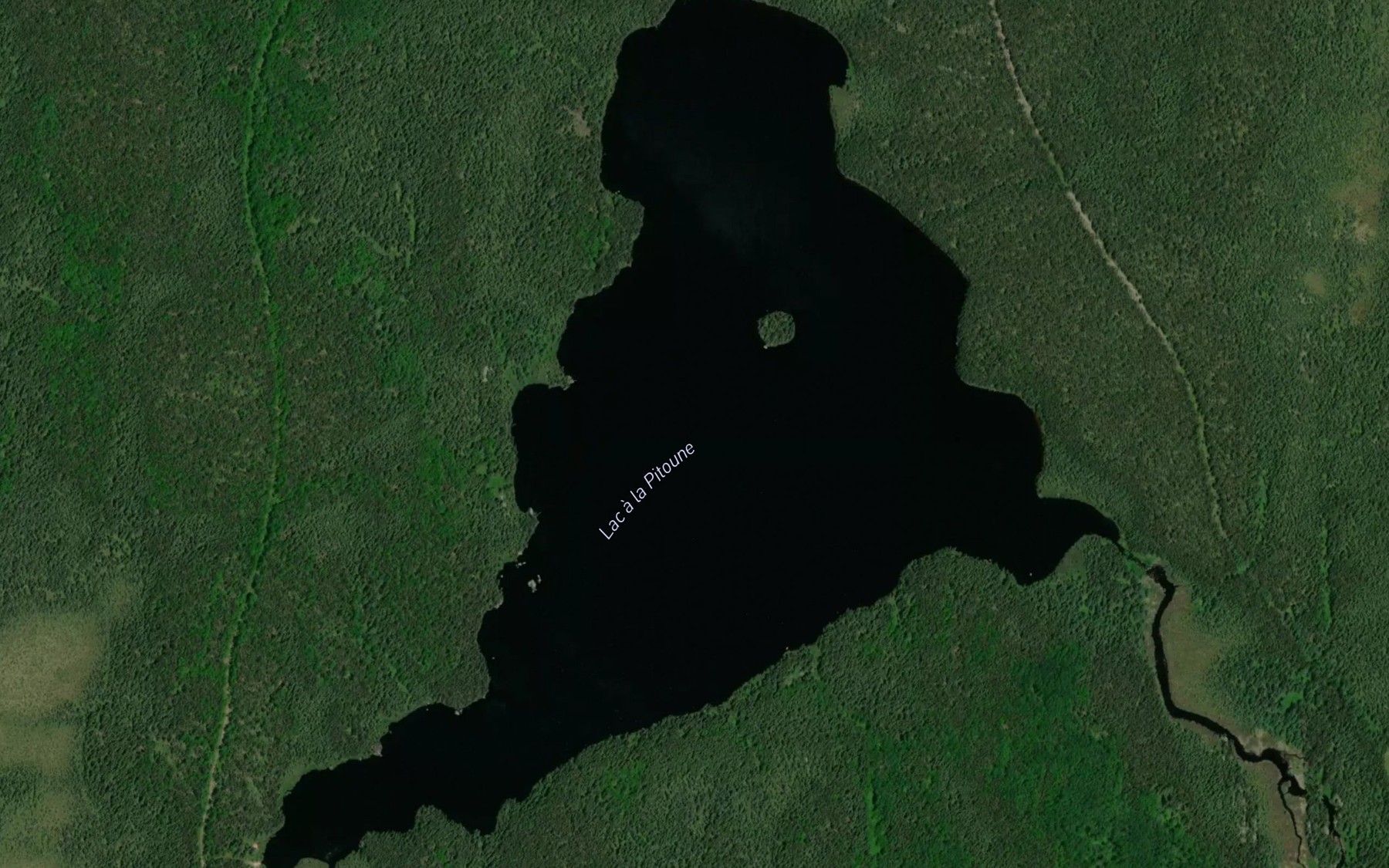 Satellite map of the Lac a la Pitoune