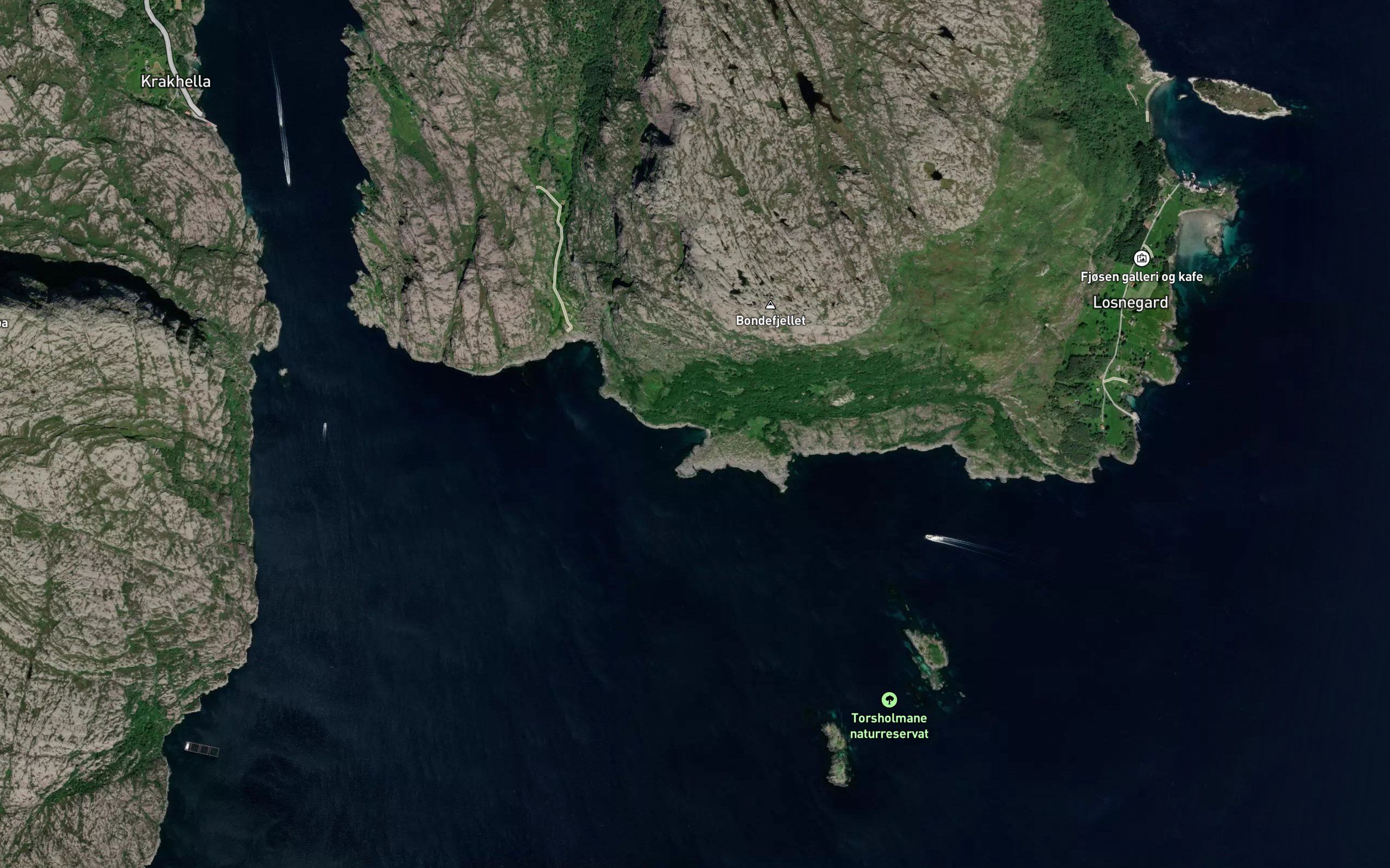 Trondvika,yt