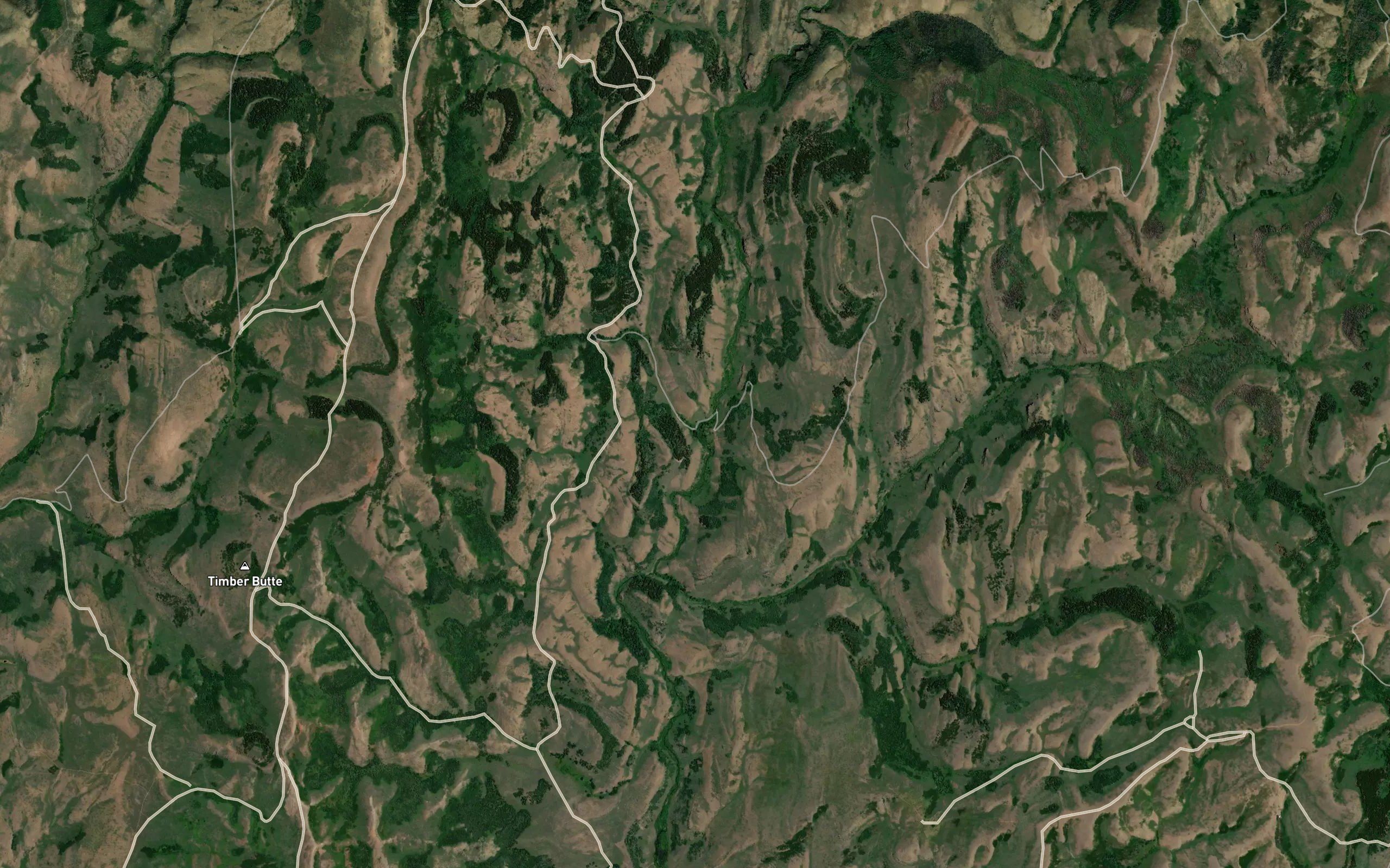 Winecup Creek