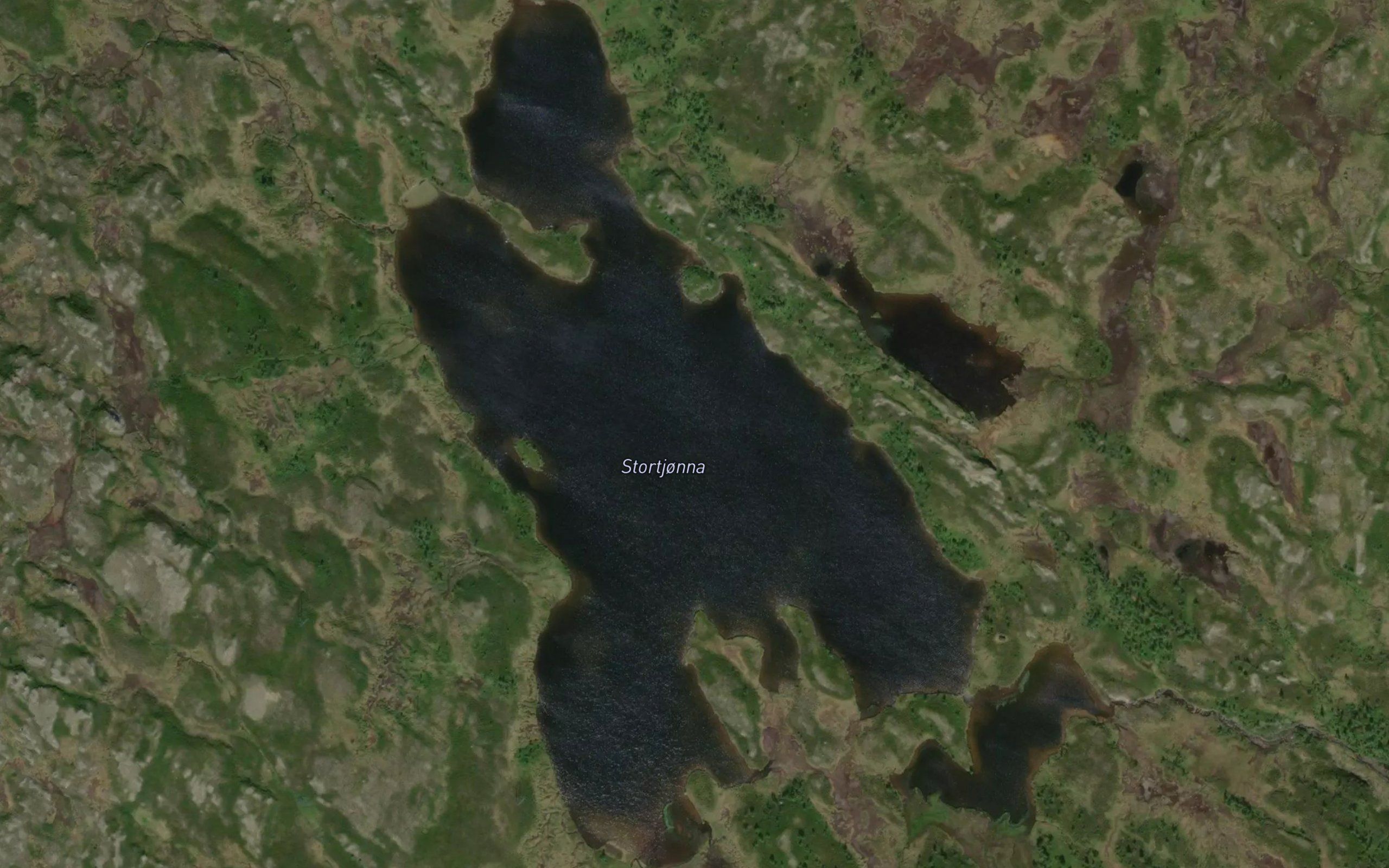 Stortjonna