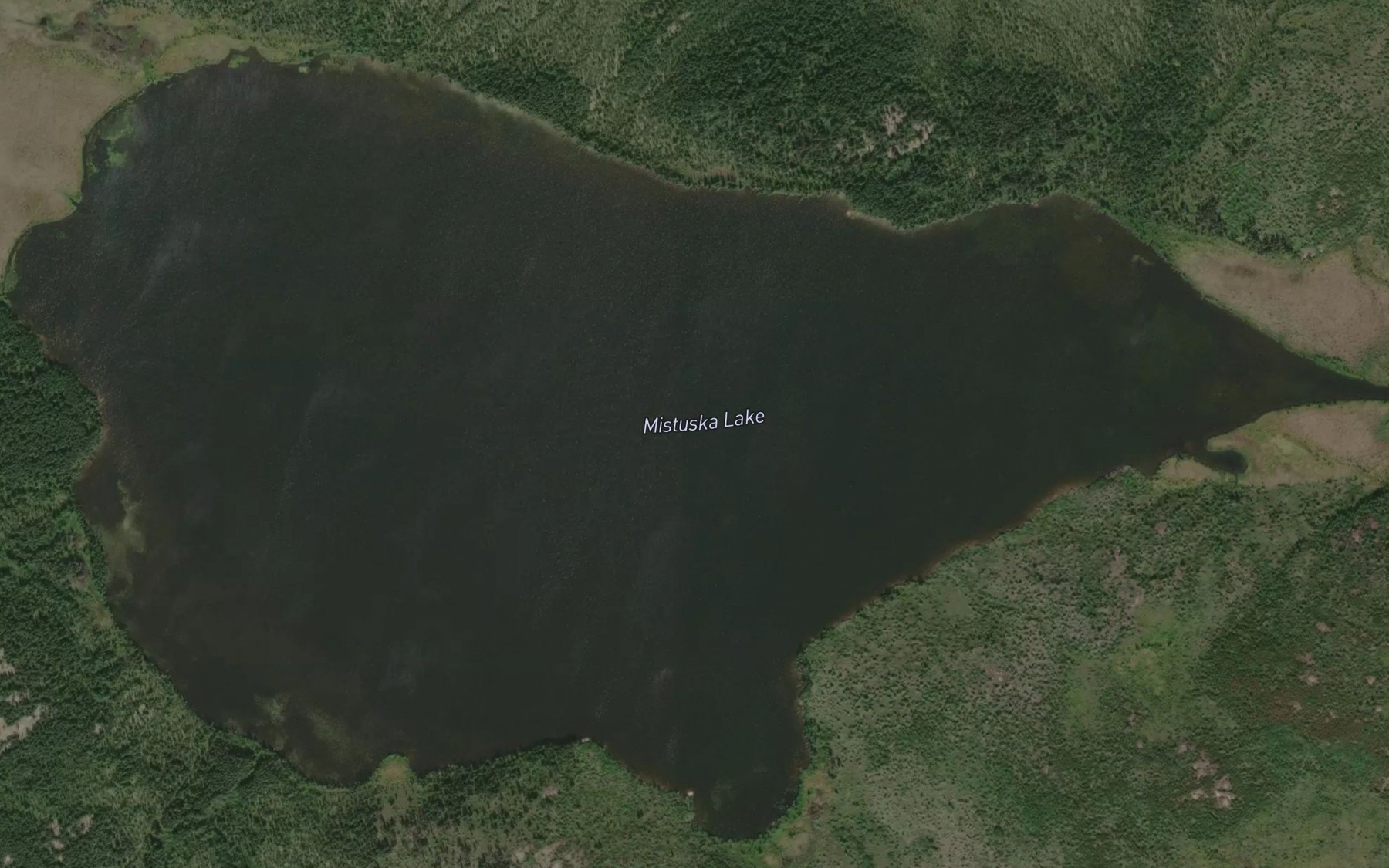 Satellite map of the Mistuska Lake
