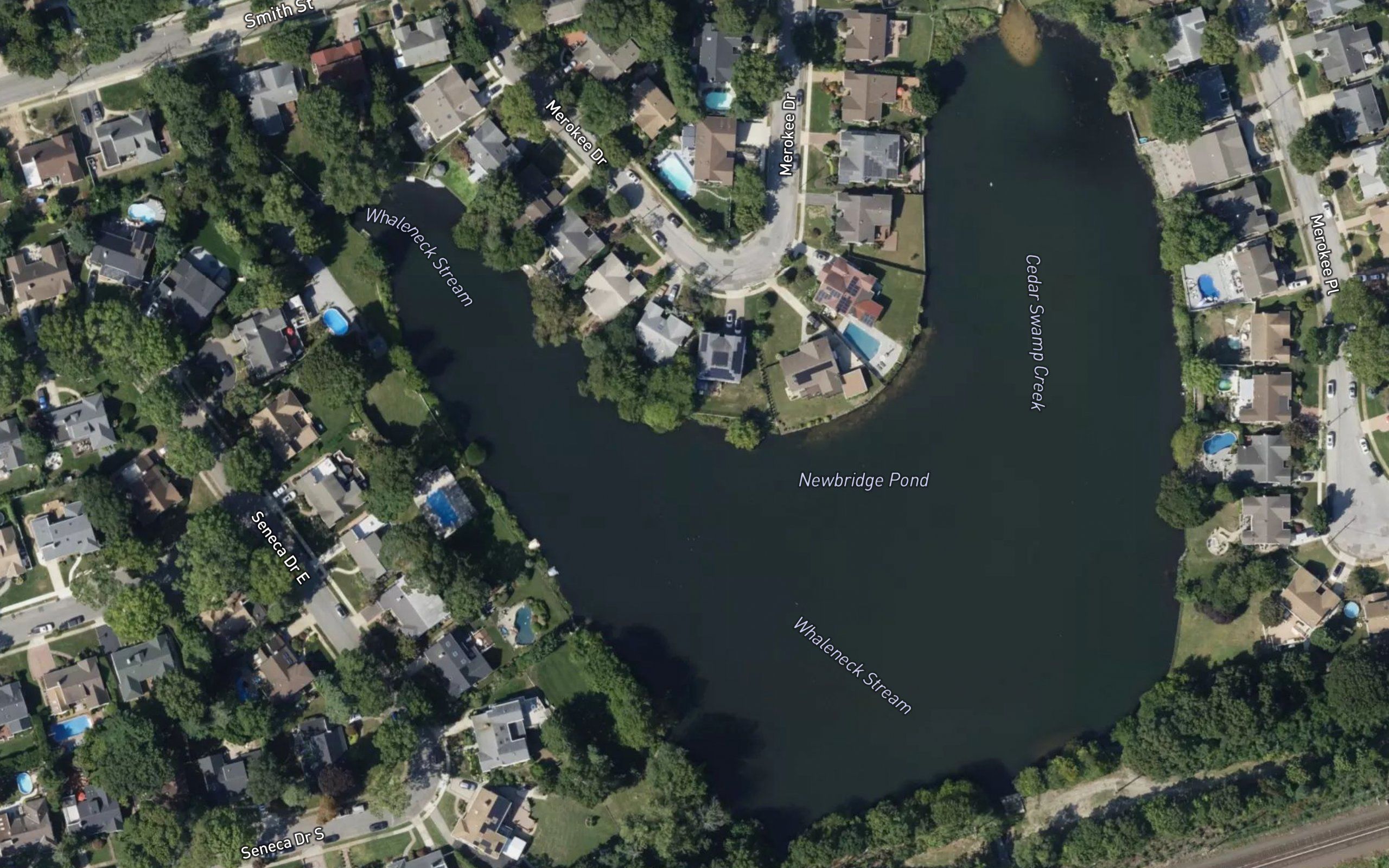 Newbridge Pond