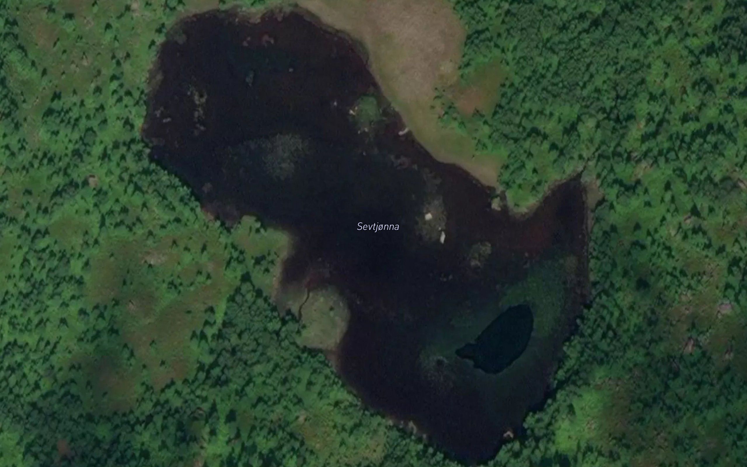 Sevtjorna
