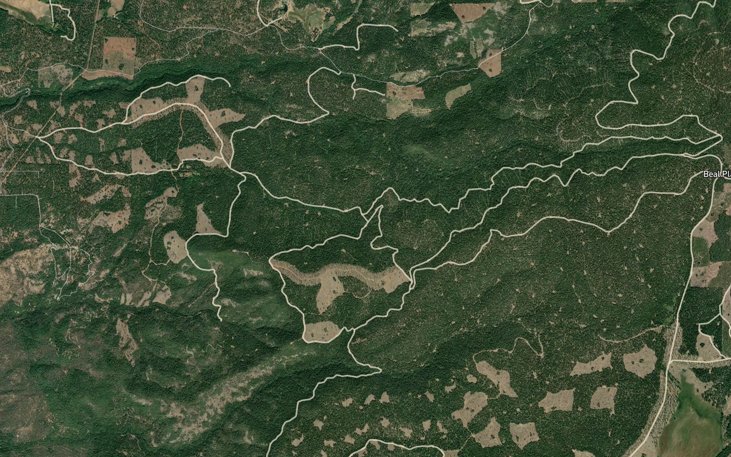 Johnson Spring