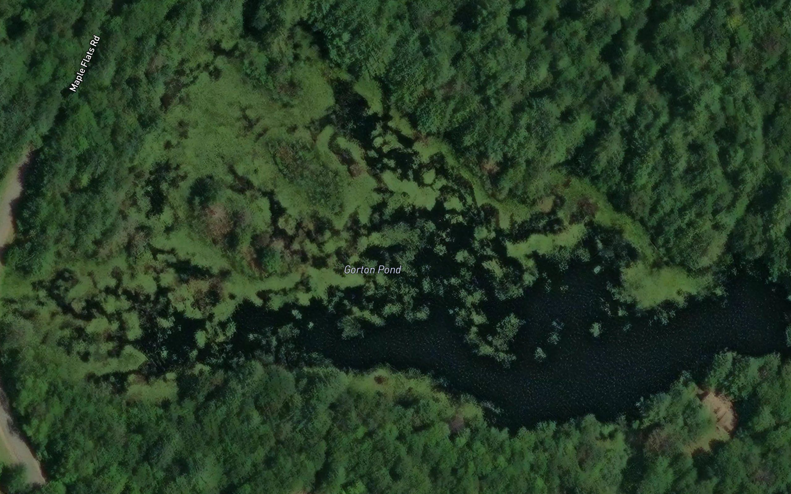 Gorton Pond
