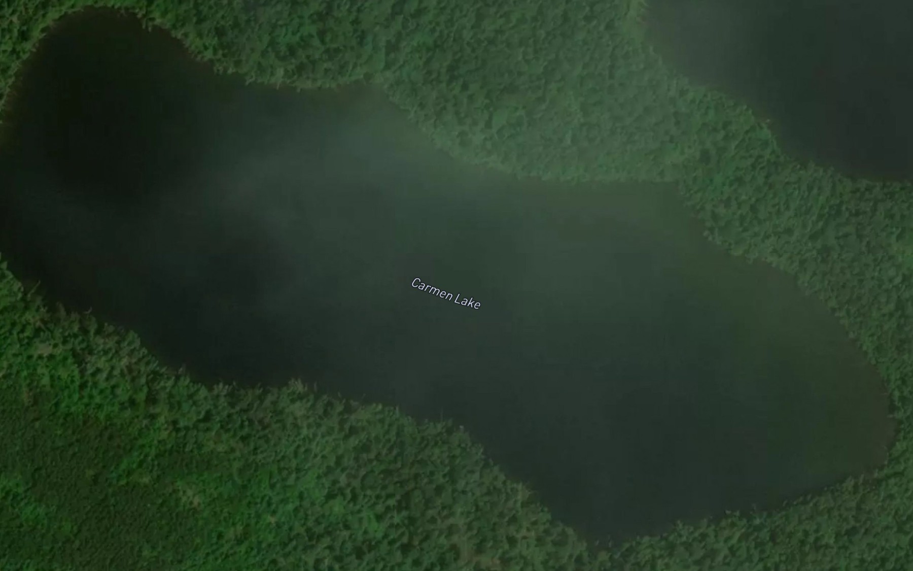 Satellite map of the Carmen Lake