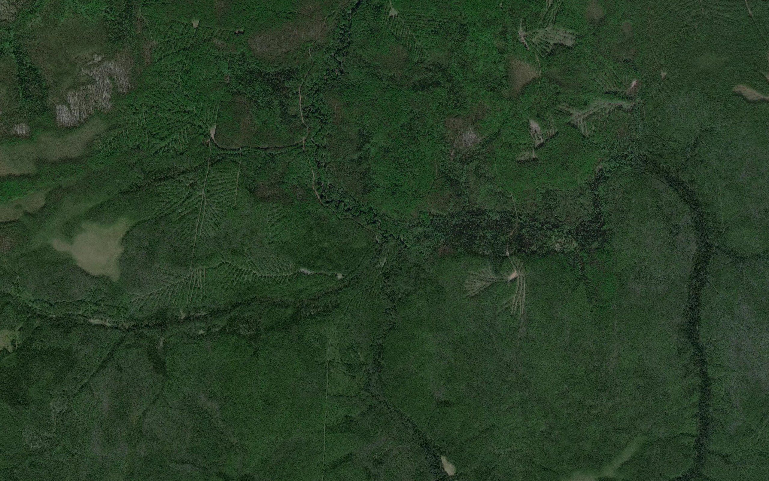 Minvizh