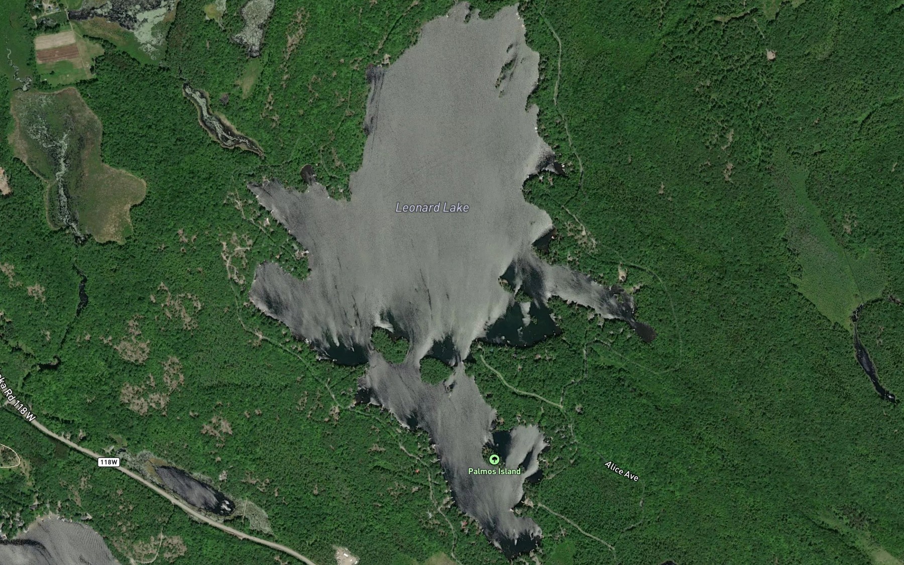 Satellite map of the Leonard Lake