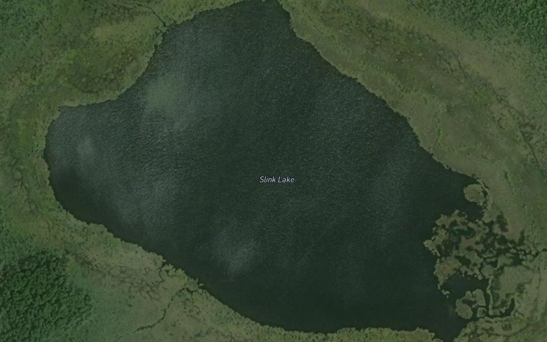 Satellite map of the Slink Lake