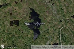 Vommetjorn