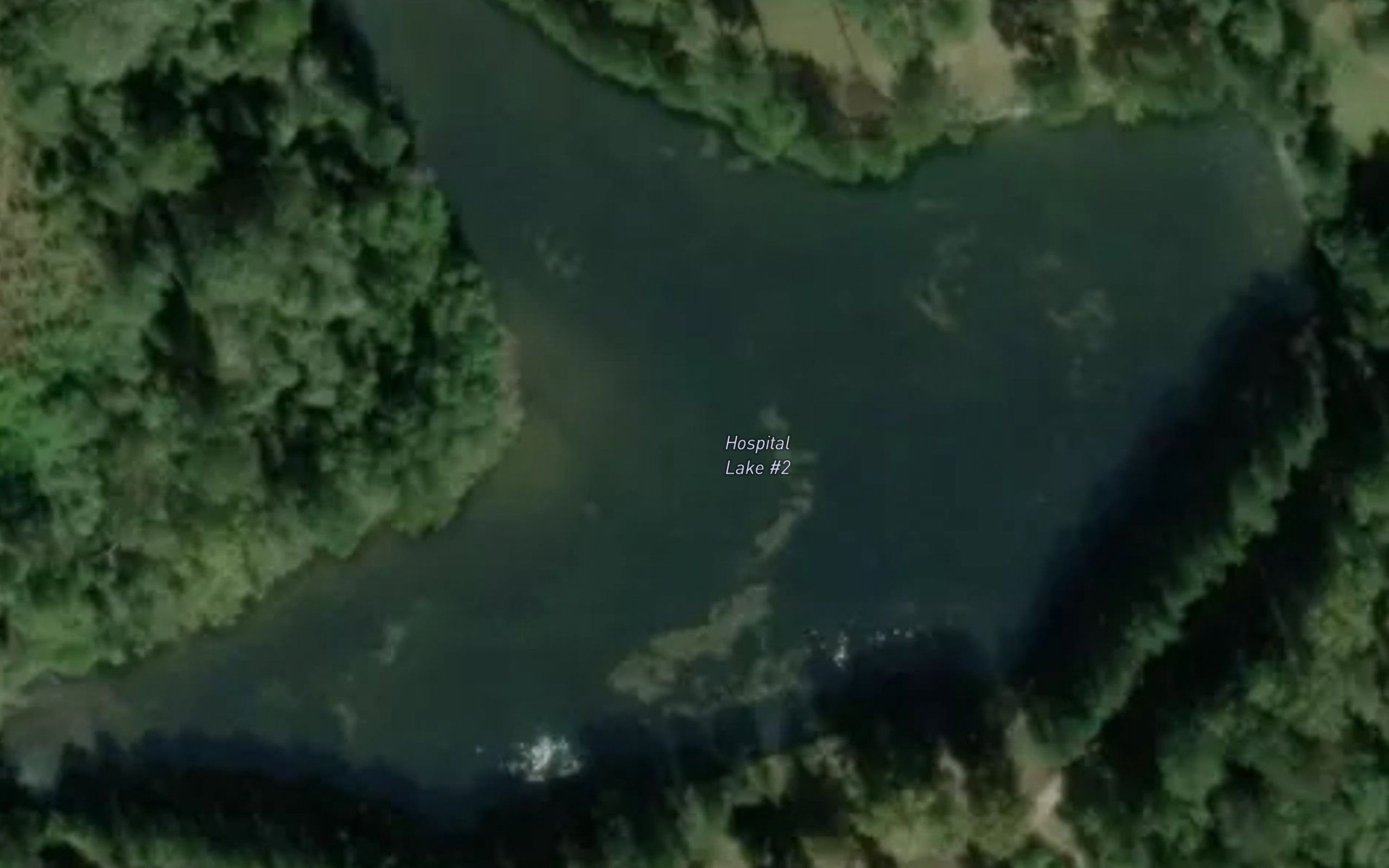 Hospital Lake Number Two