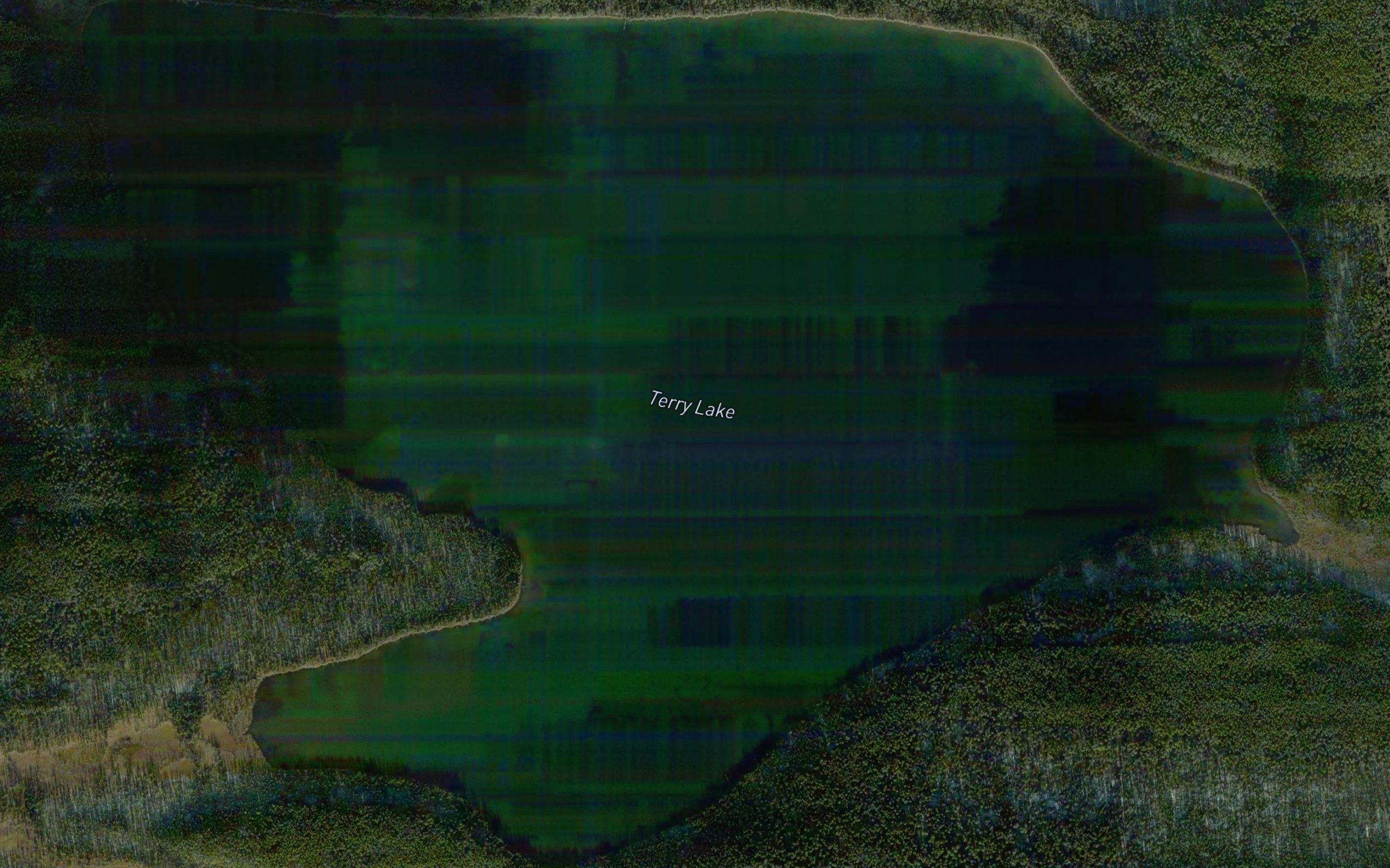 Terry Lake