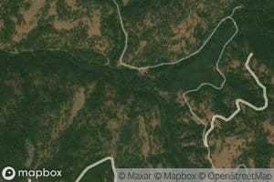 Prong Creek
