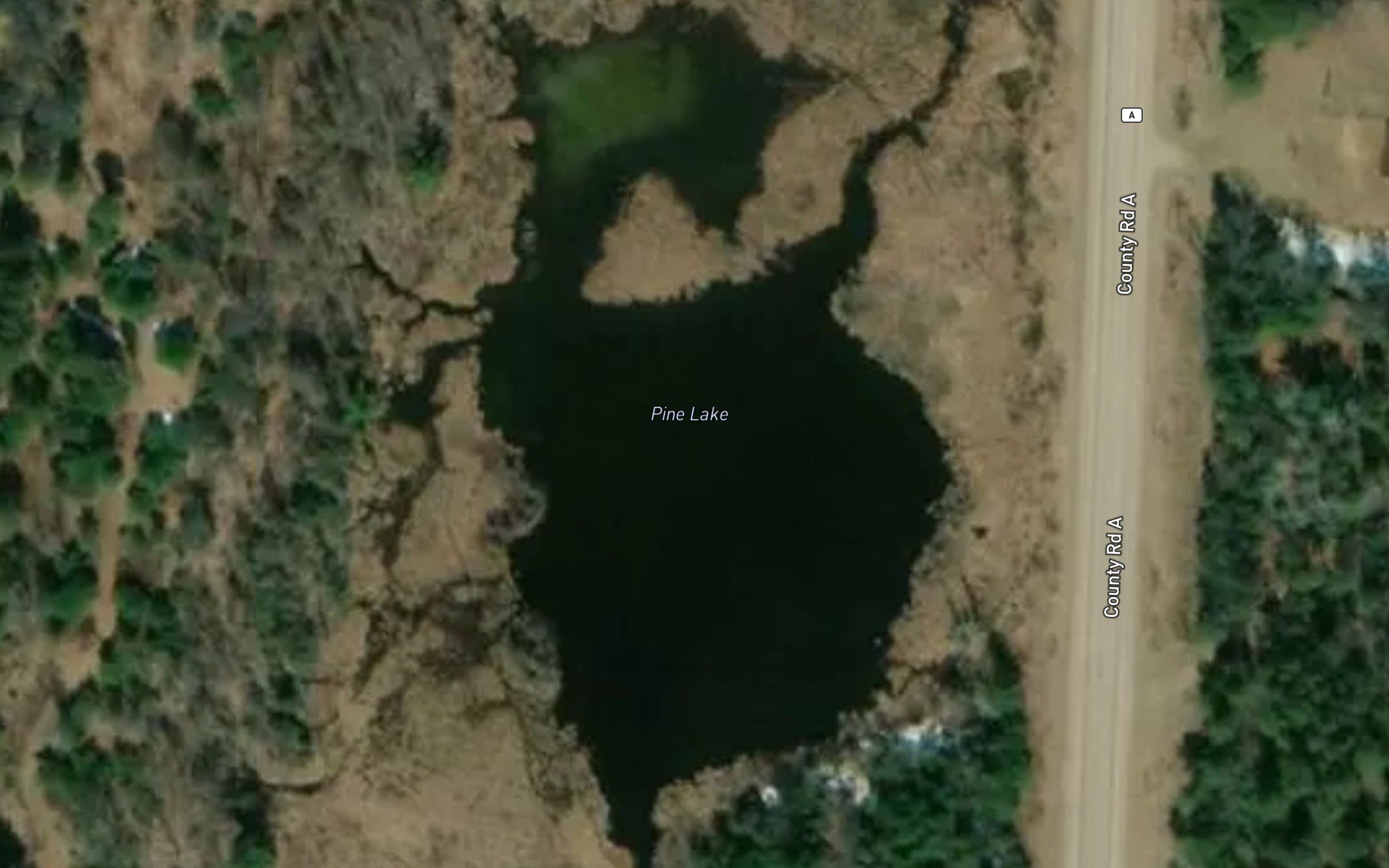 Pine Lake