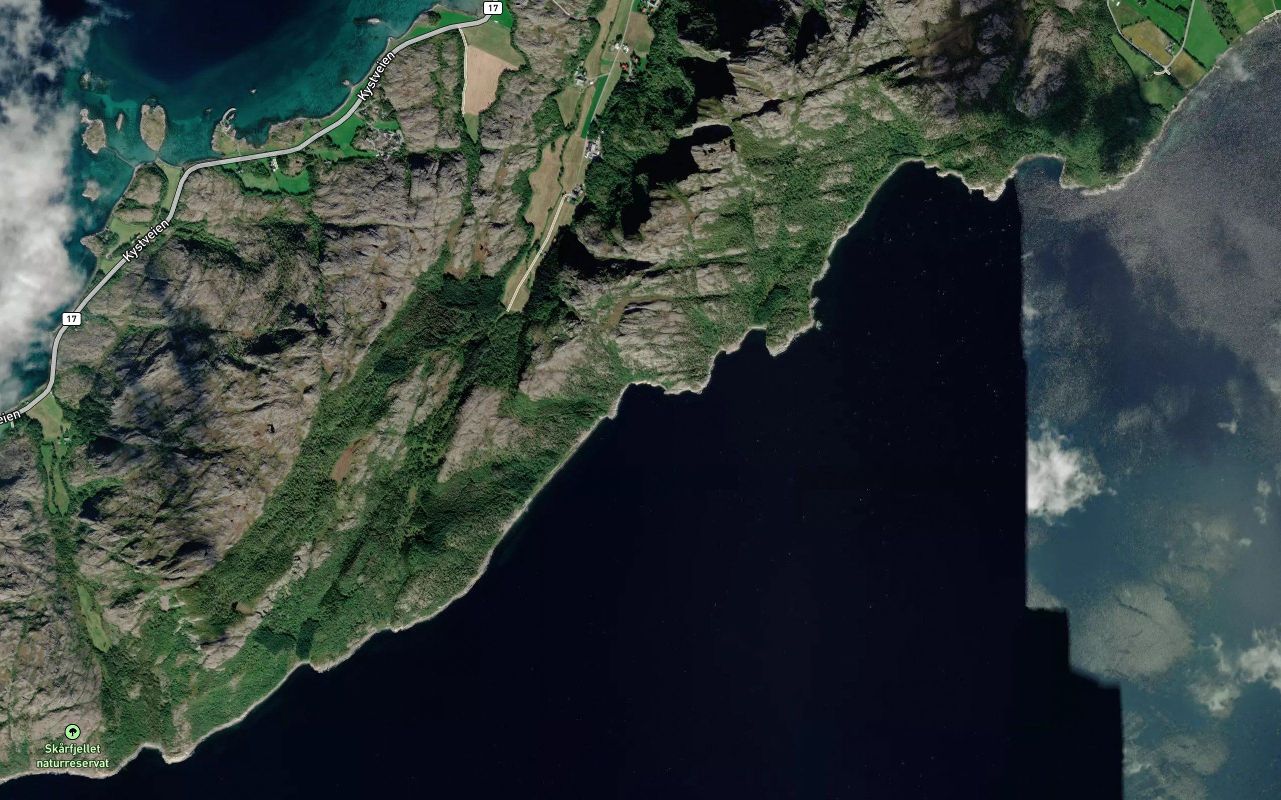 Gongstovika