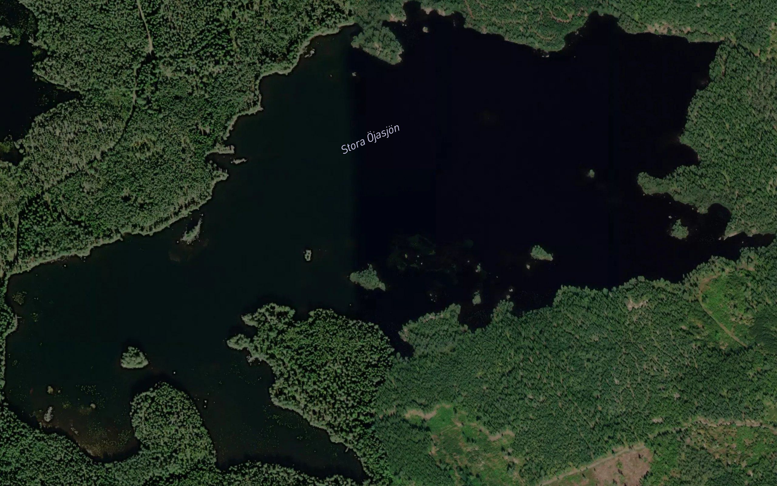 Stora Ojasjon