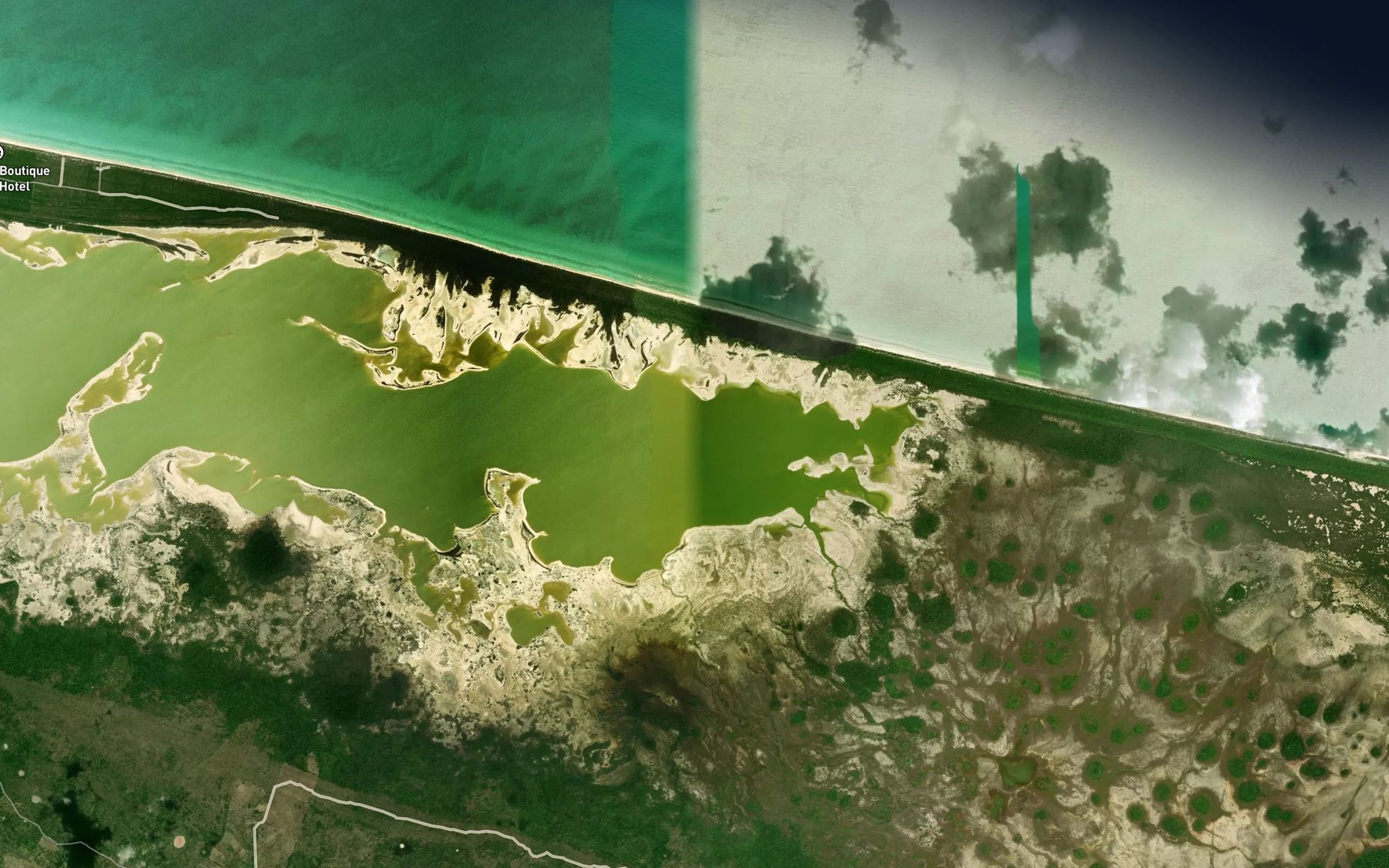 Satellite map of the Laguna Flamingos