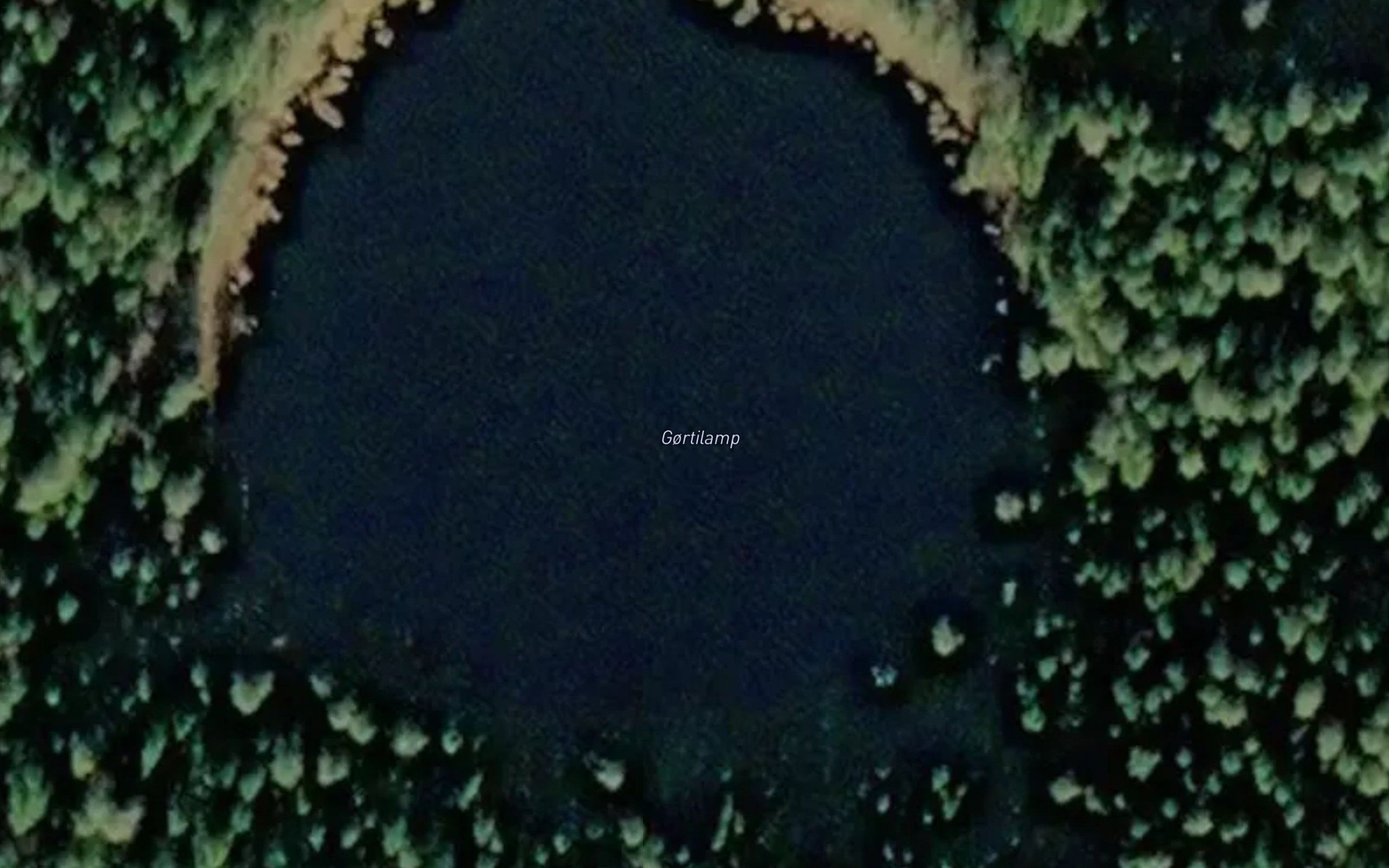 Gortilamp