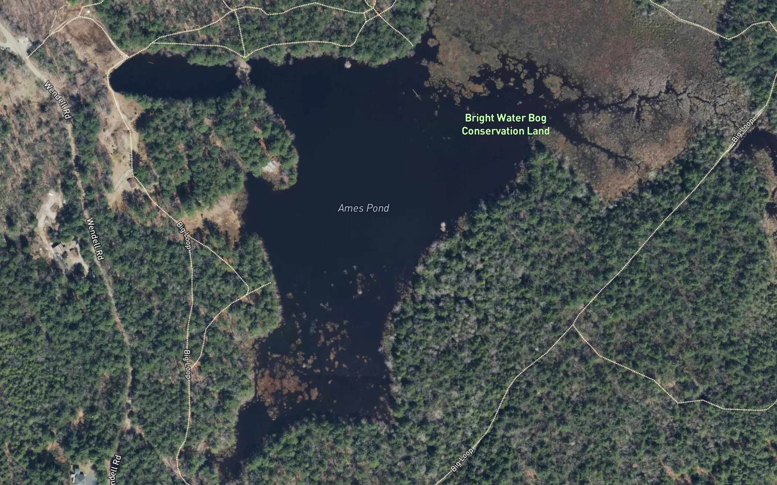 Ames Pond