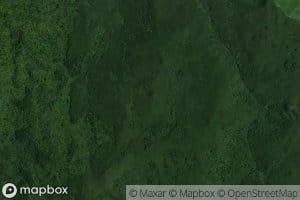 Wharekirauponga Stream