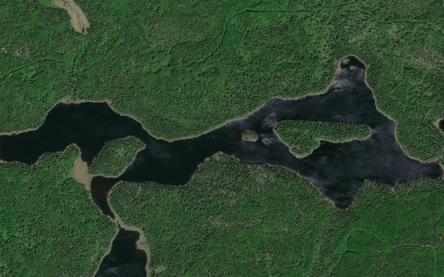 Satellite map of the Pardee Lake